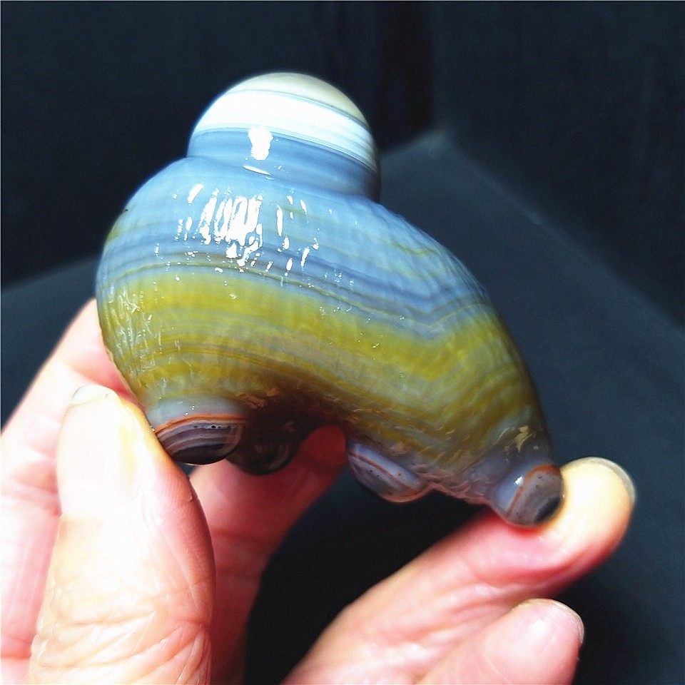 RARE 96.2G Natural Inner Mongolia Gobi Eye Agate Stone Collection AC888