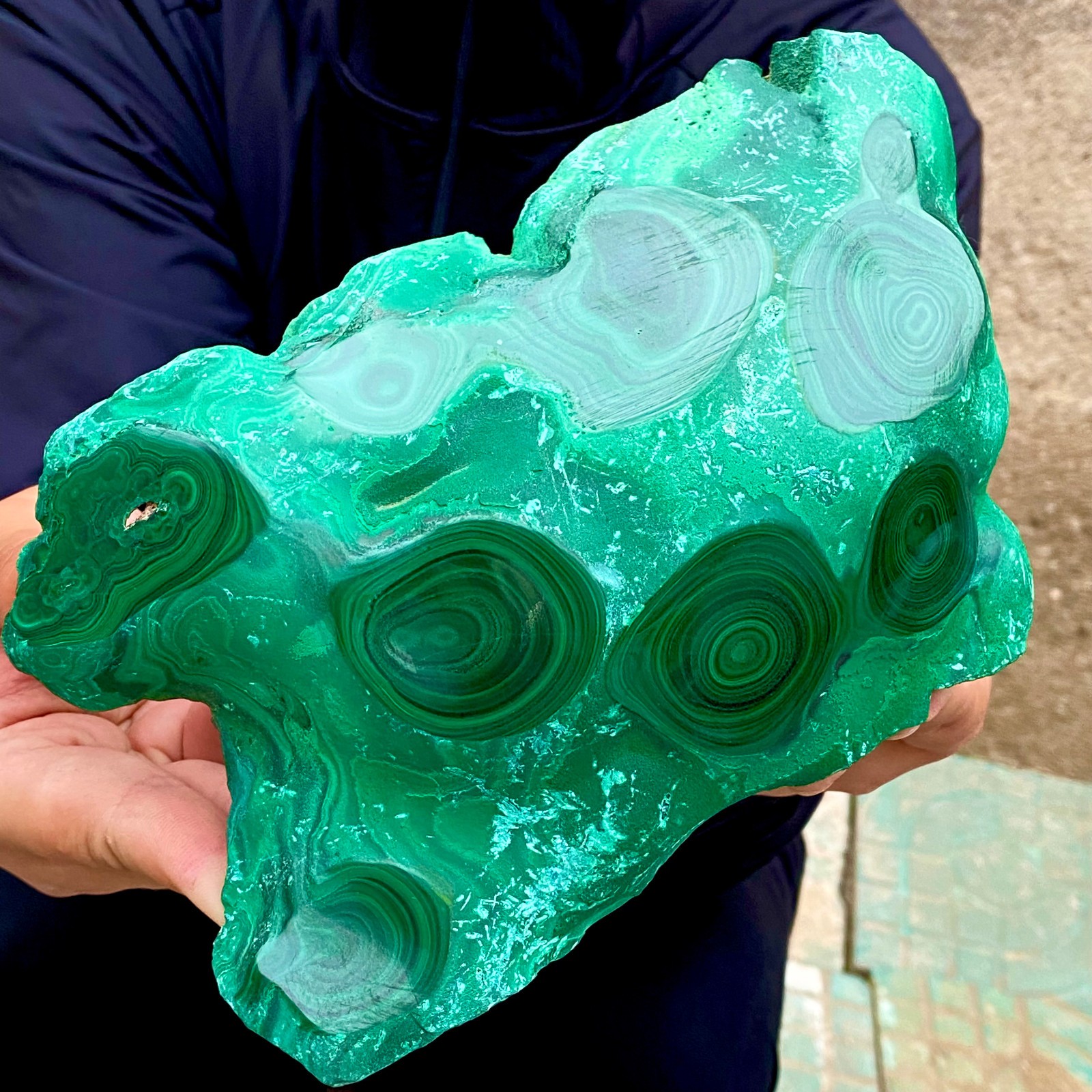 3.2LB Natural tortoise Malachite transparent cluster coarse mineral sample