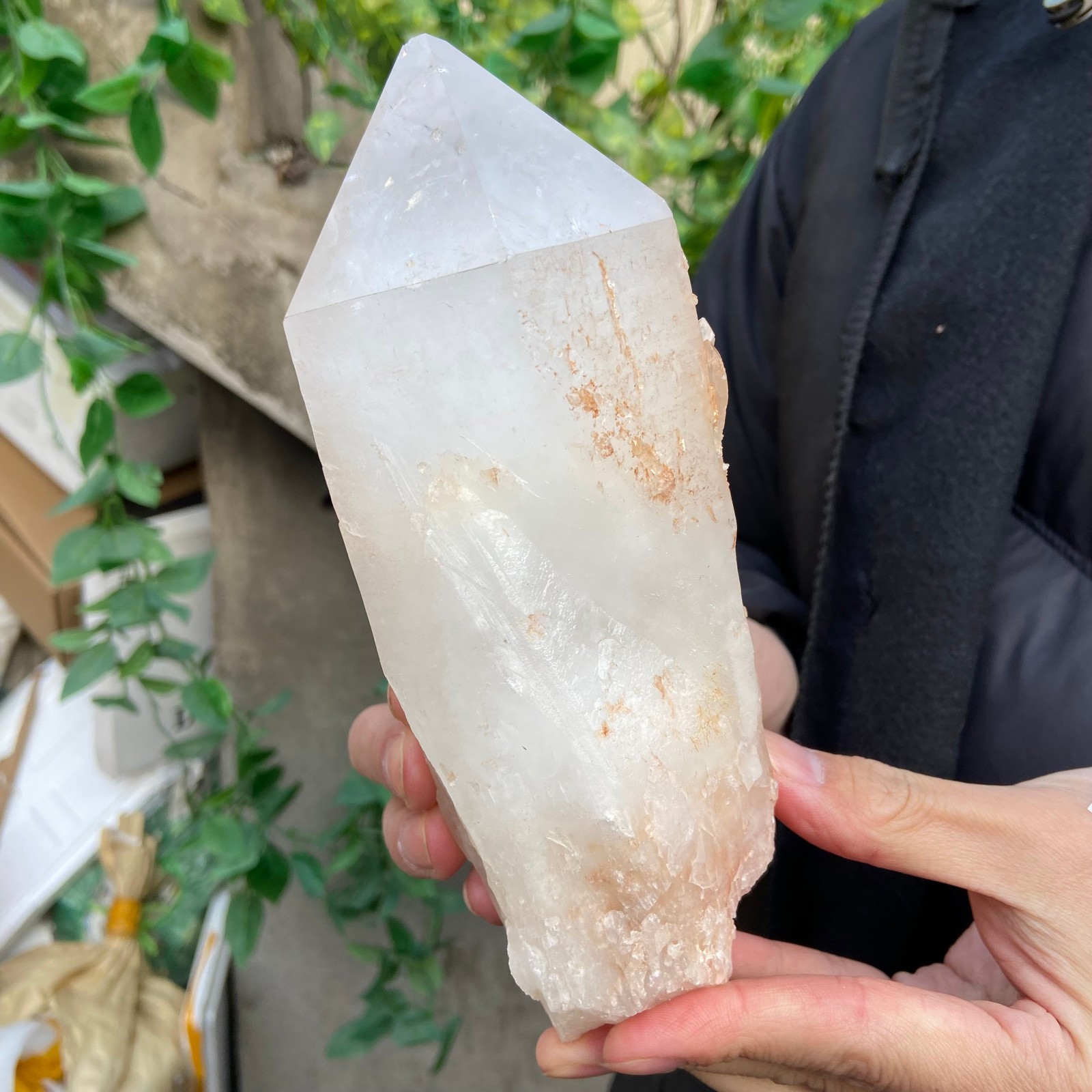 2.9lb Natural Clear White Quartz Crystal point Rough Healing Specimen