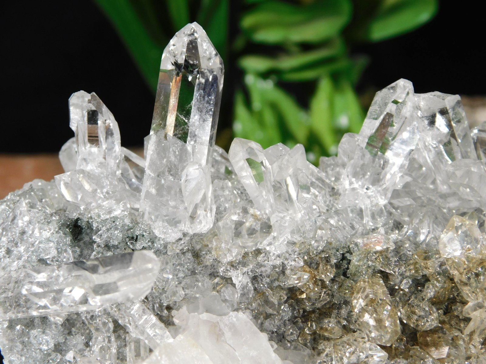 wOw Larger Very! Translucent AAA HIMALAYAN Quartz Crystal Cluster 808gr