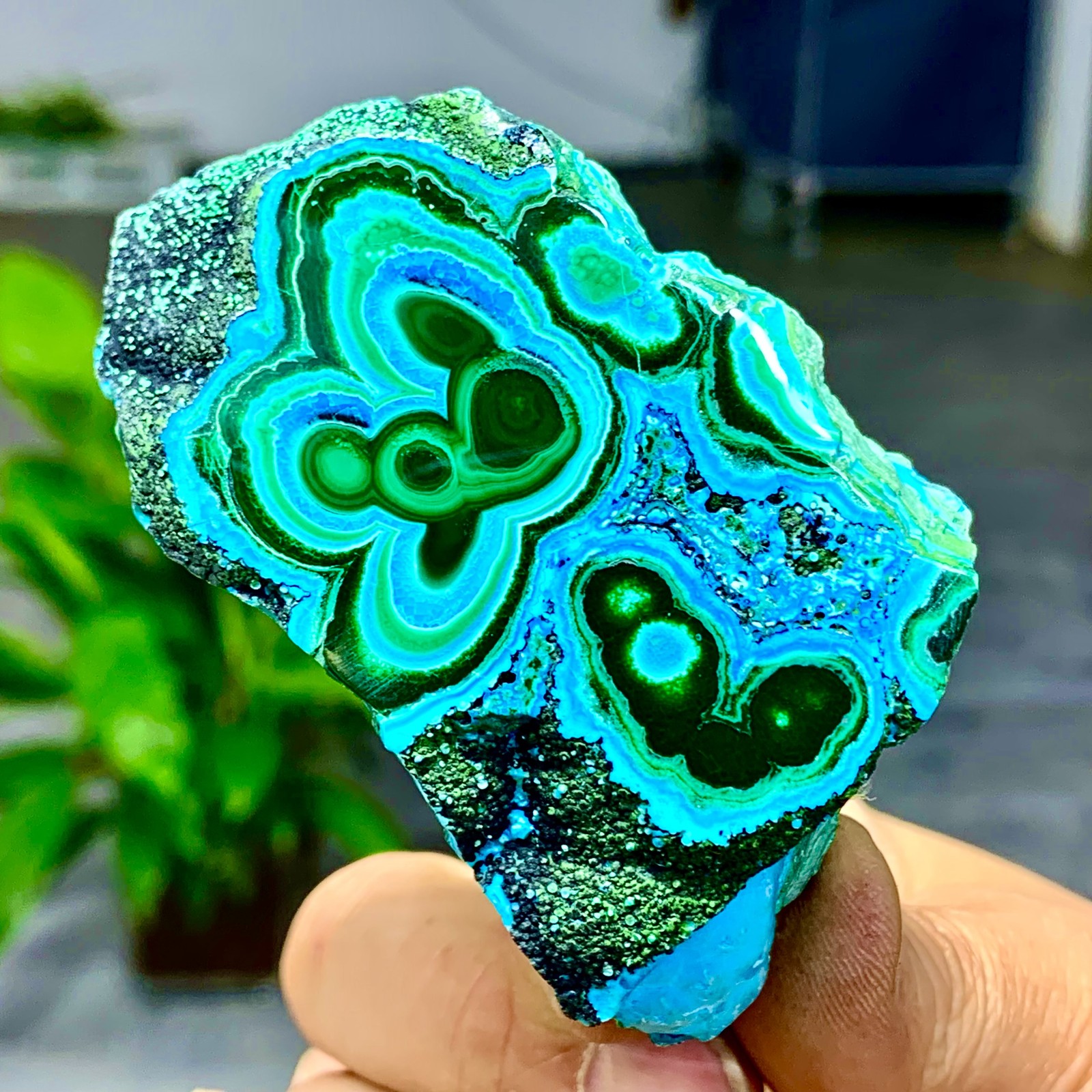 205G Natural Chrysocolla/Malachite transparent cluster rough mineral sample