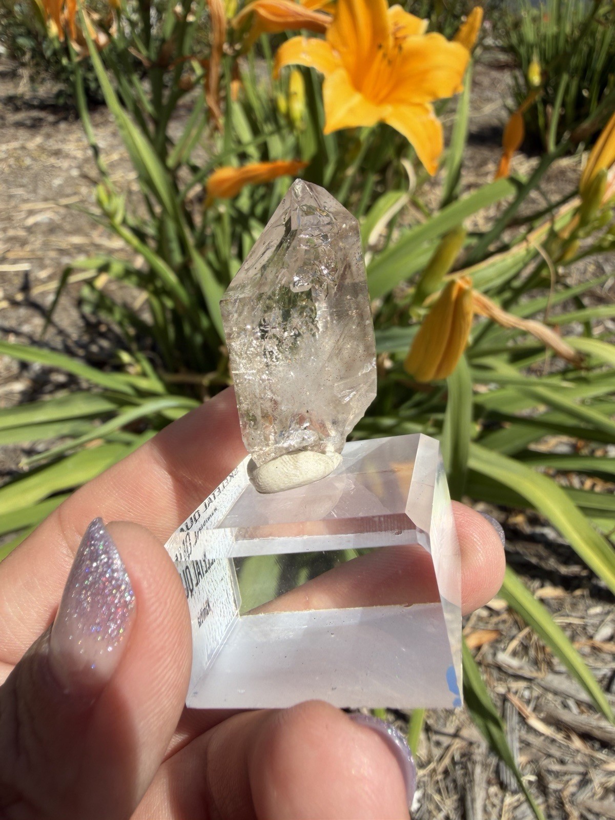Natural Namibia Skeletal Enhydro Quartz Mineral Specimen w/ Moving Bubble,A478