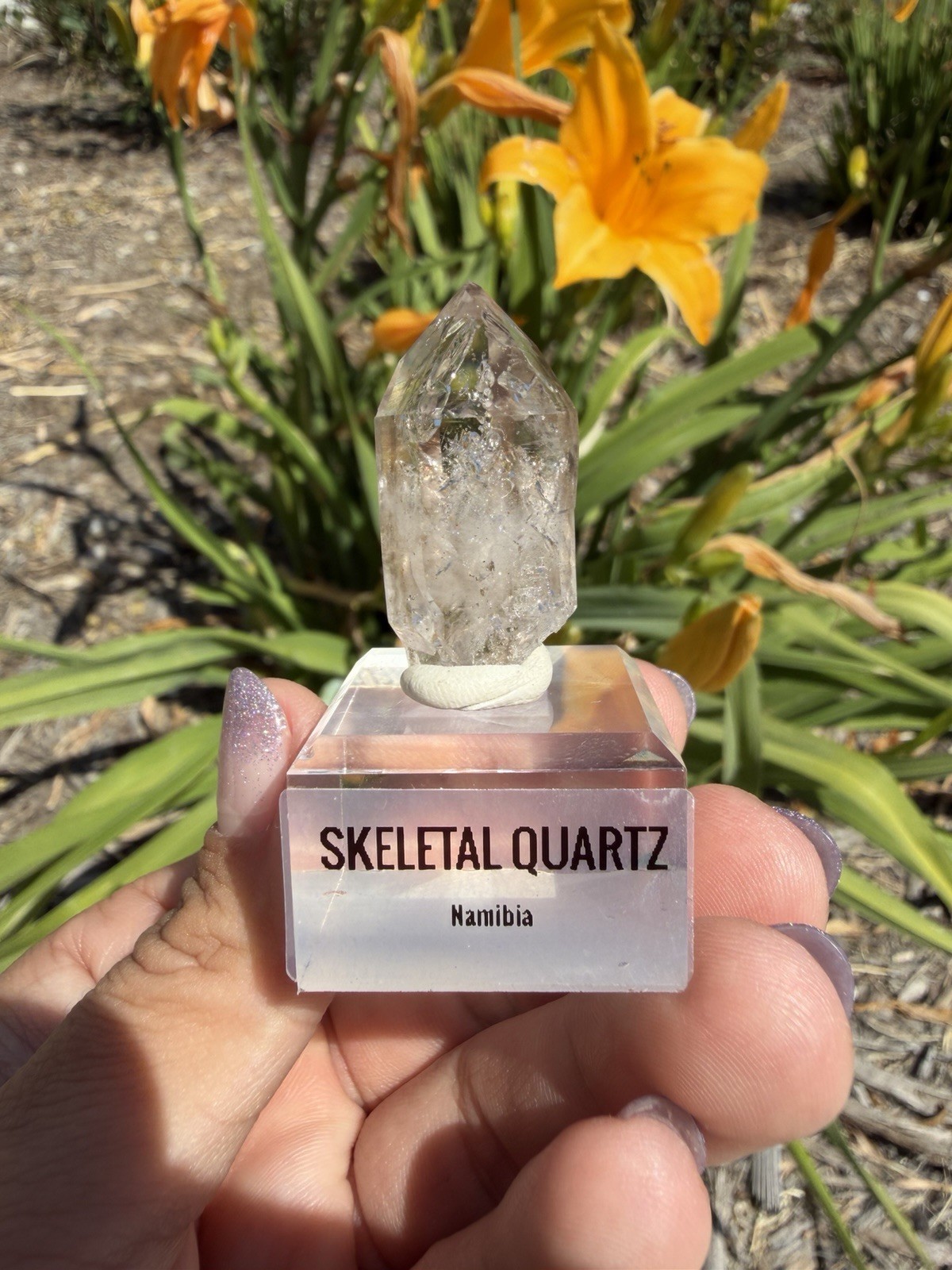 Natural Namibia Skeletal Enhydro Quartz Mineral Specimen w/ Moving Bubble,A478