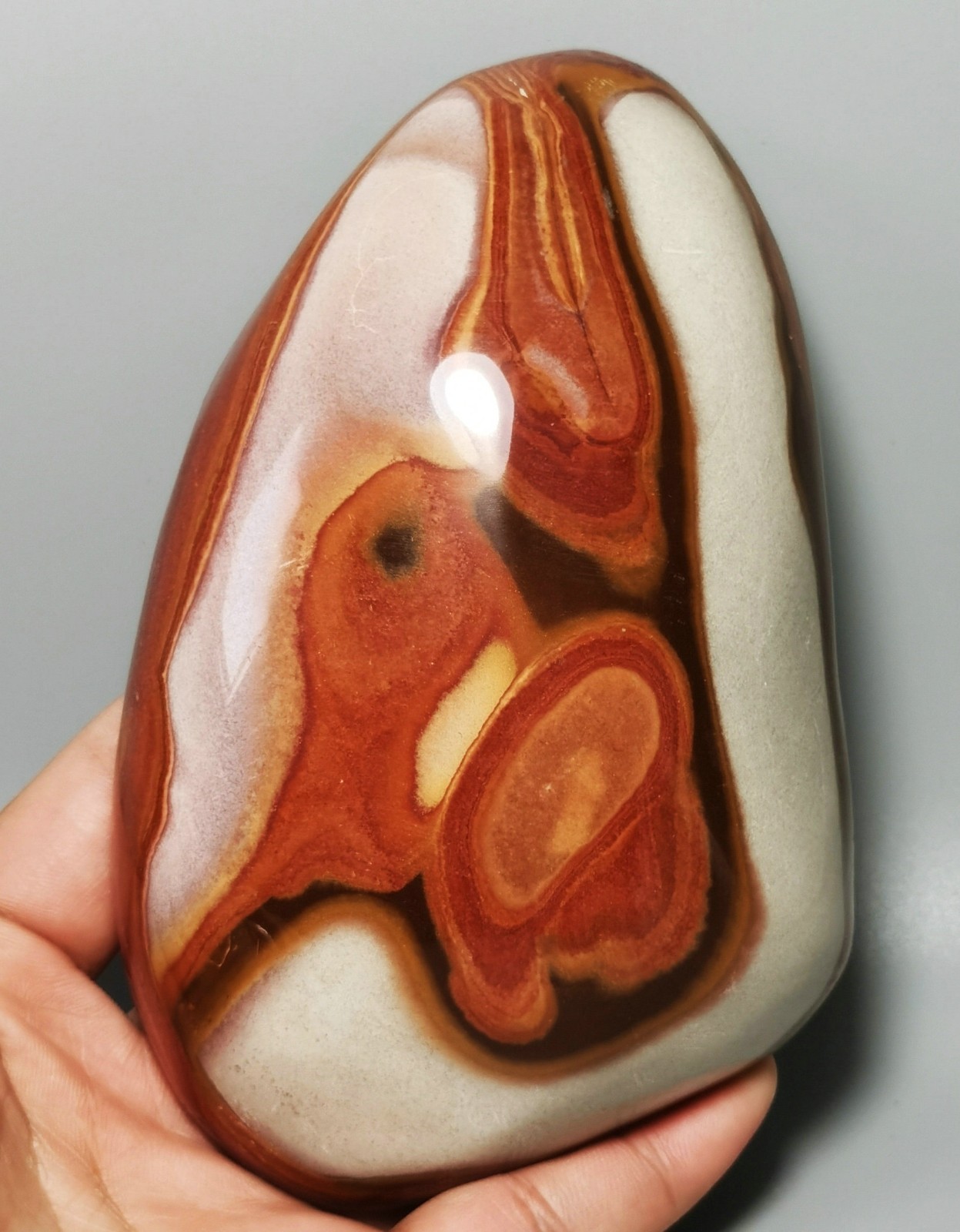 Rare Polished Polychrome Jasper Freeform Reiki Stone Healing