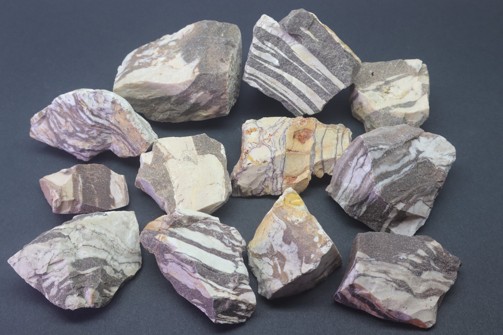 Zebra Jasper 1 LB Natural Mineral Black & White Gemstone Specimens