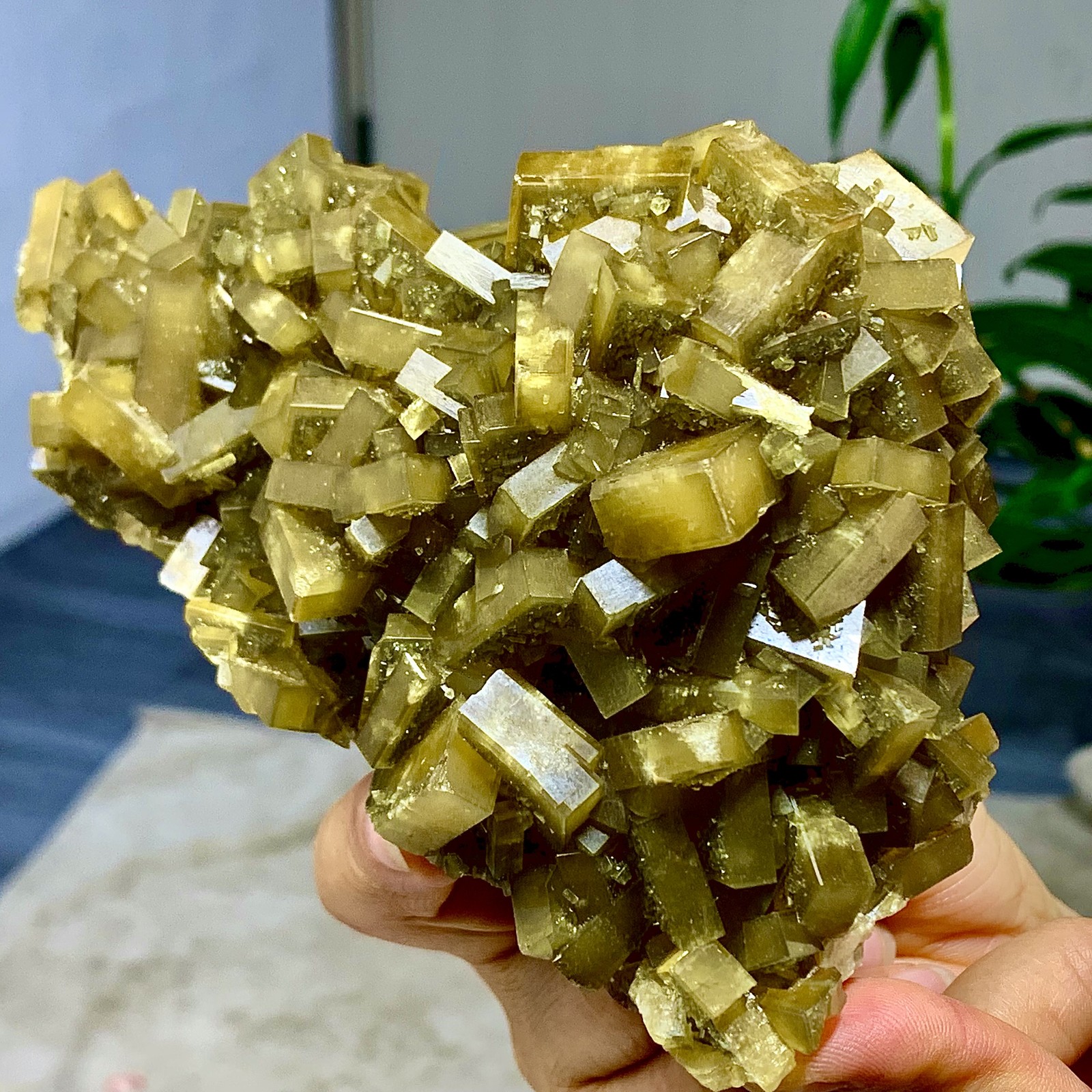 2.36LB Shiny Golden Cuboid Barite Crystal Based on the Purple Spherical Fluorite