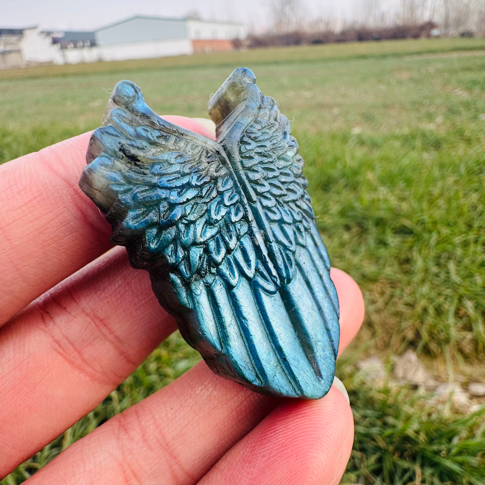 Natural Labradorite Carved Wing Quartz Skull Crystal Specimen Reiki Healing 1PC
