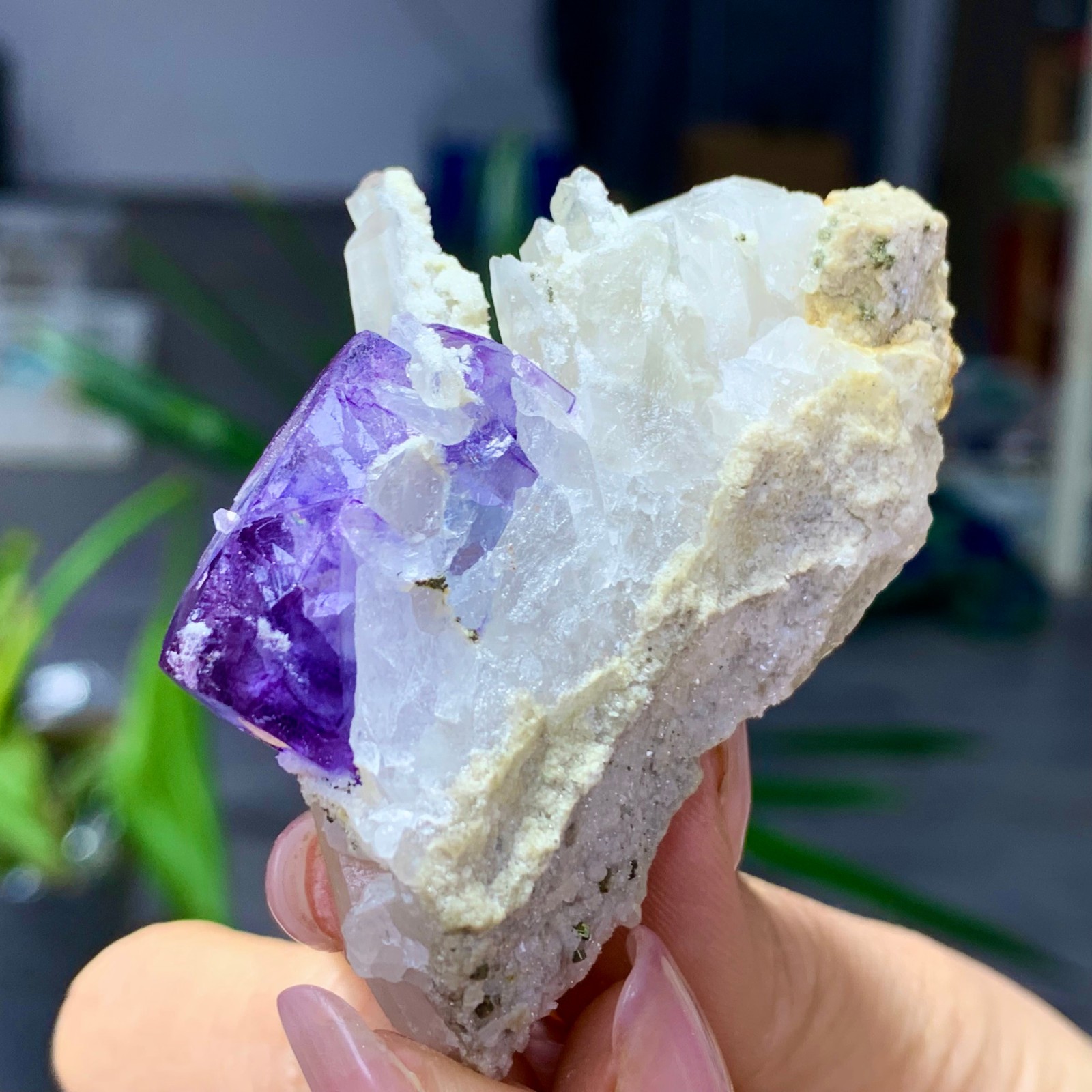 50G Natural transparent purple fluorite coexists with white crystal/Yaogangxian