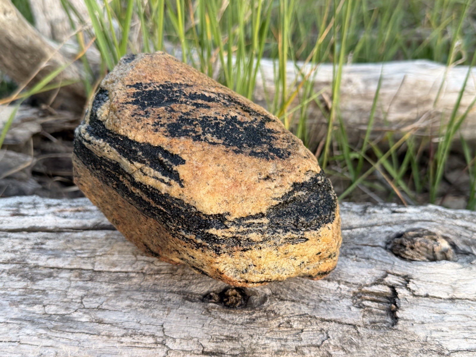 Natural Lake Michigan Rock Granite Large LOOK! 👀 3lb+ READ CAREFULLY