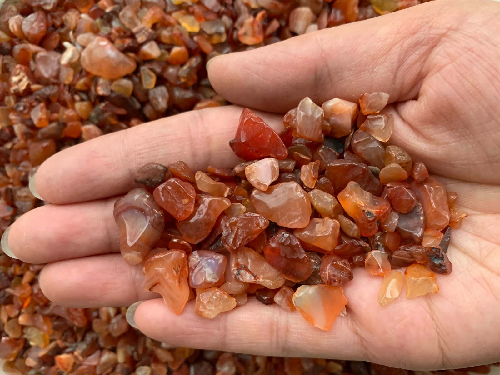 Grade A++ Carnelian Semi Tumbled Gemstone Mini Chips 8-25 mm, Wholesale Bulk Lot