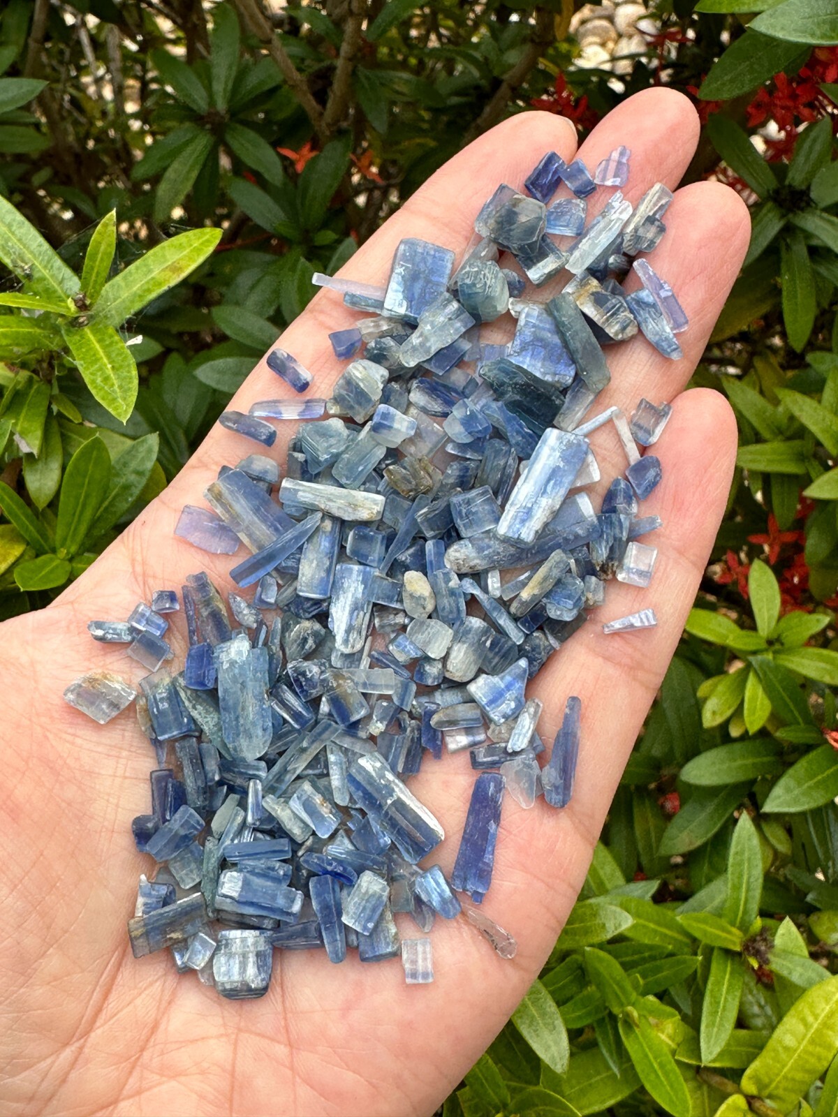 Grade A++ Blue Kyanite Semi Tumbled Gemstone Mini Chips 5-18 mm, Wholesale Bulk