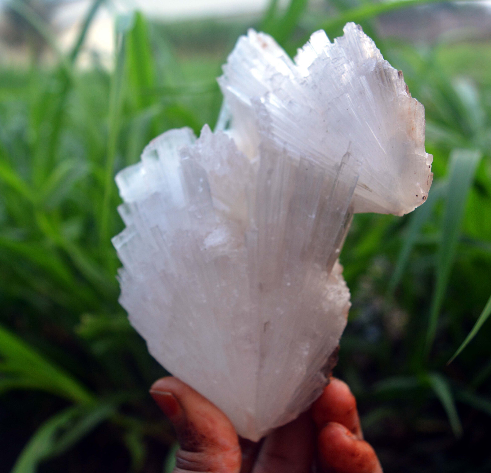 scolecite spray formation minerals specimen a-4