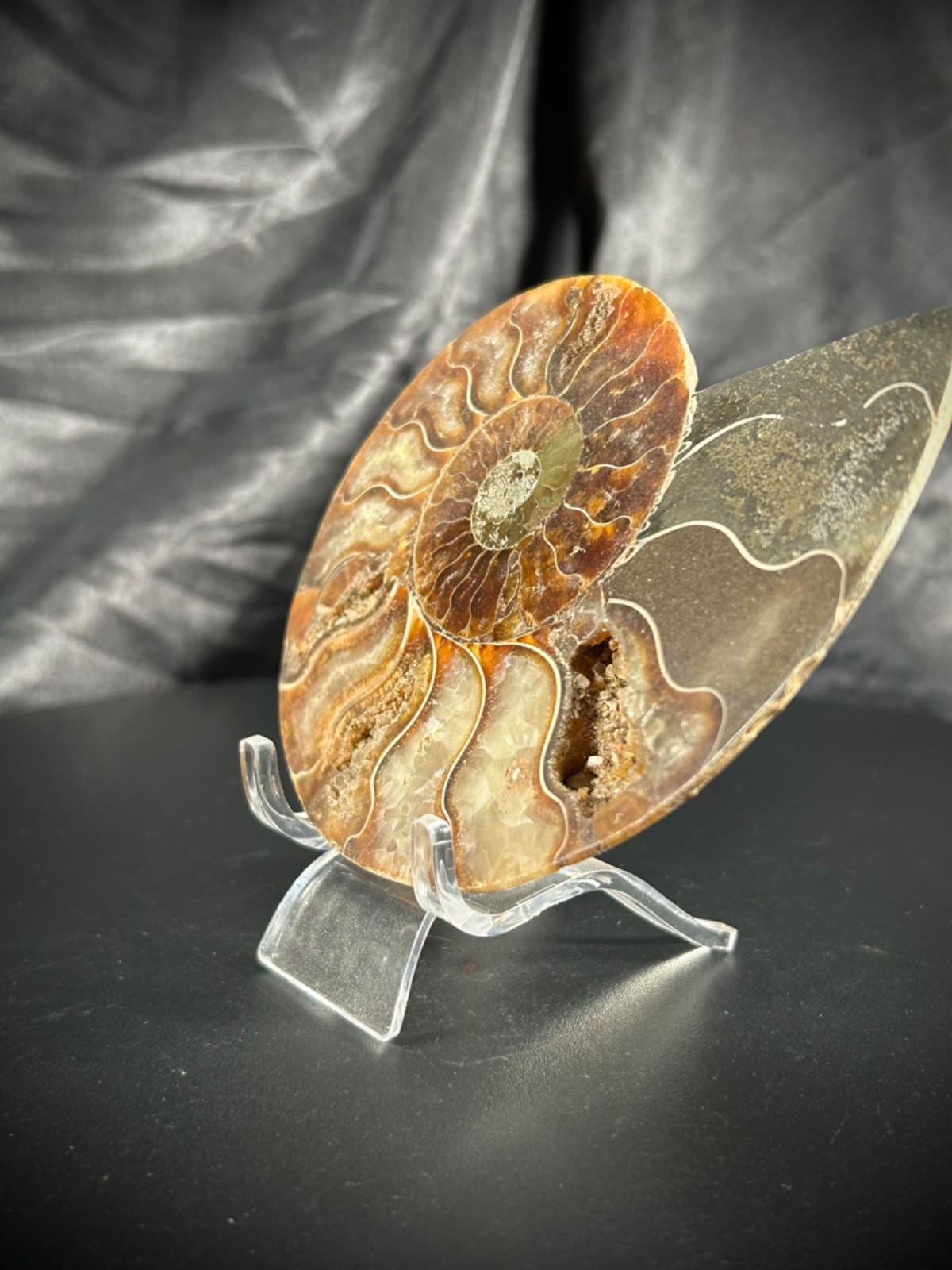 4.32″ Sliced Ammonite Half With Acrylic Stand 5.5oz (157 grams)