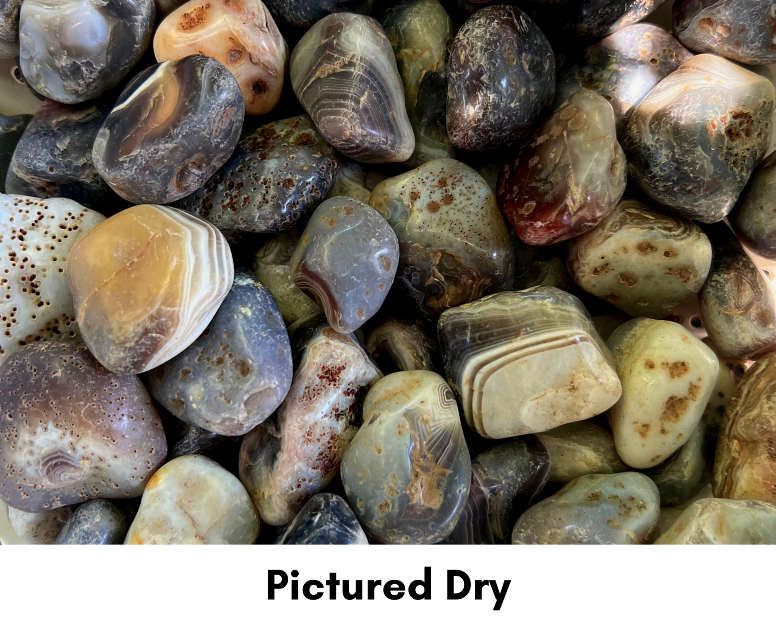 Gray Botswana Agate – Rough Rocks for Tumbling – Bulk Wholesale 1 LB+ options