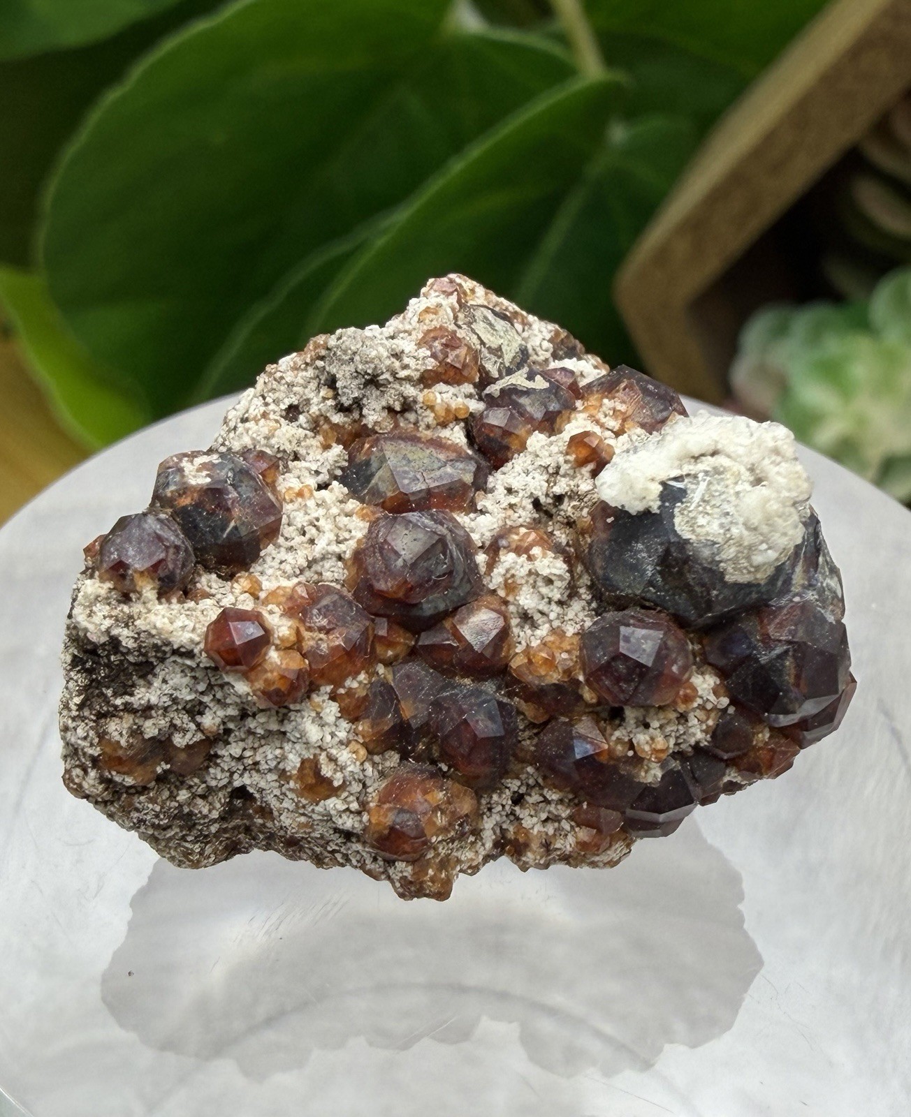 Crystal 13g Garnet & UV Reactive Hyalite Opal Cluster Specimen Mineral Raw