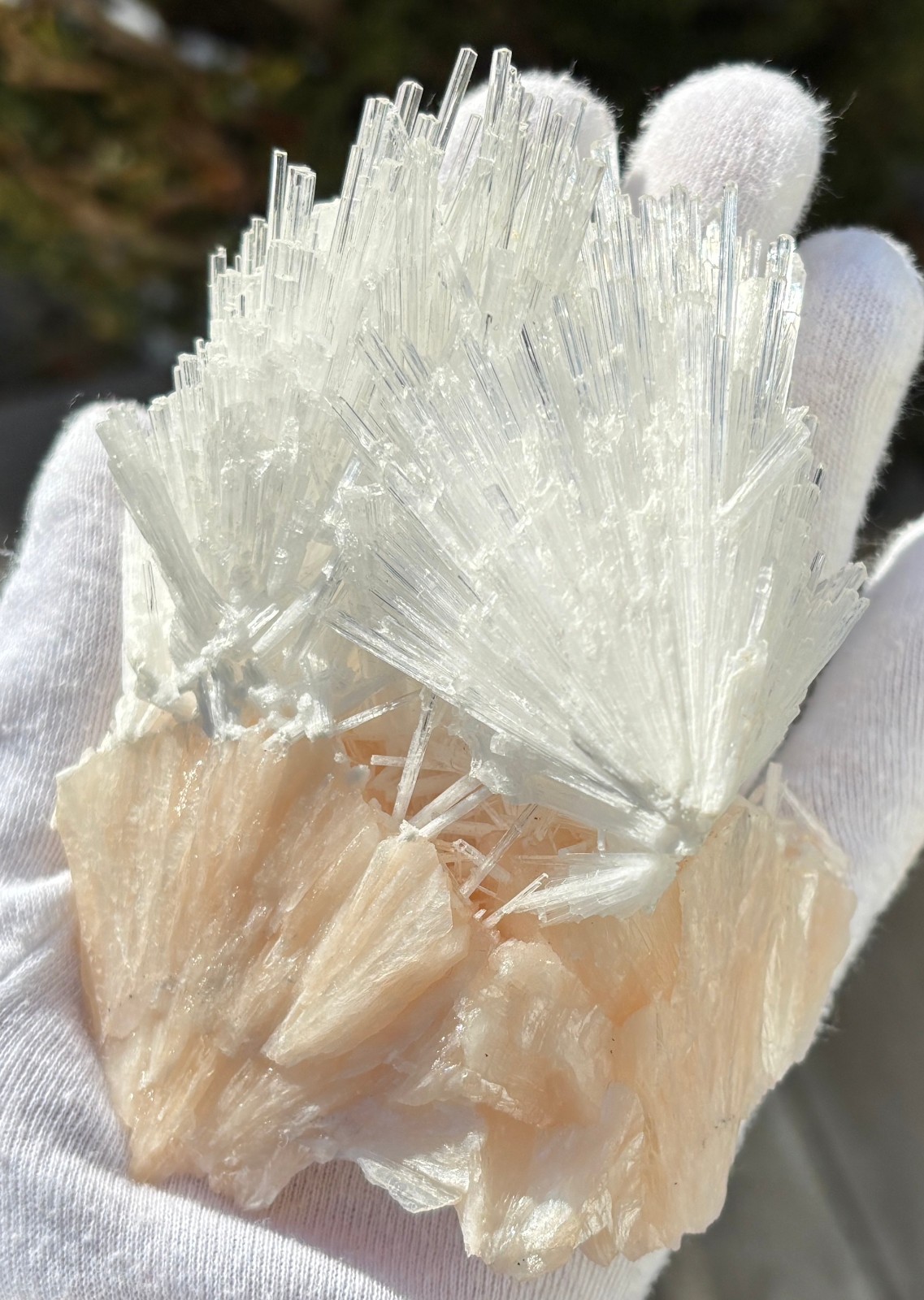 USA SALE 262g 4.3″ x 3.3″ LARGE SCOLECITE STILBITE SPECIMEN Fan/Blades/Spray