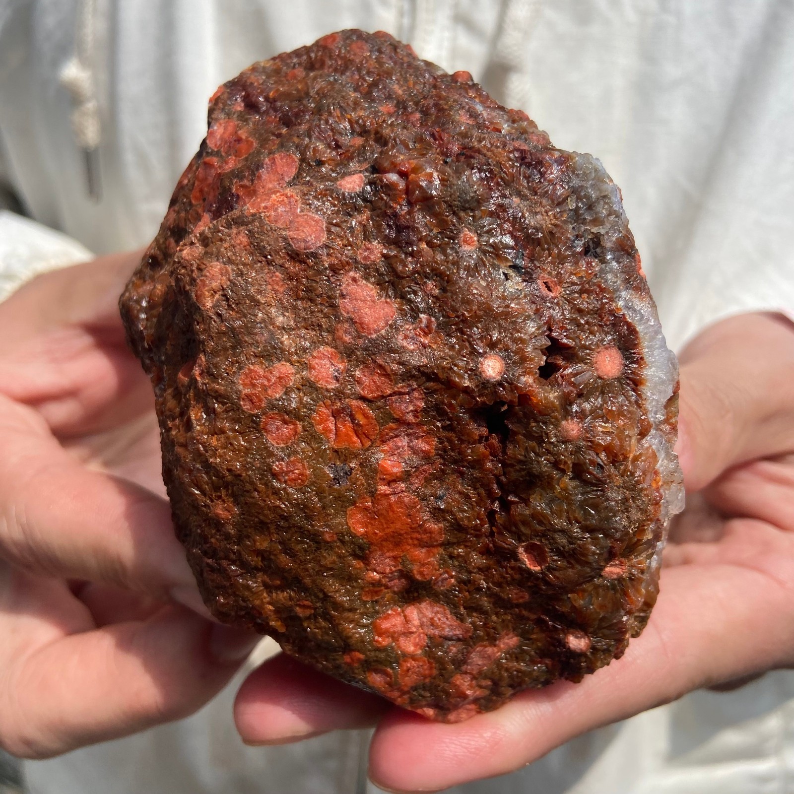 1.4lb Natural colourful ocean jasper raw stone crystal rough mineral specimen
