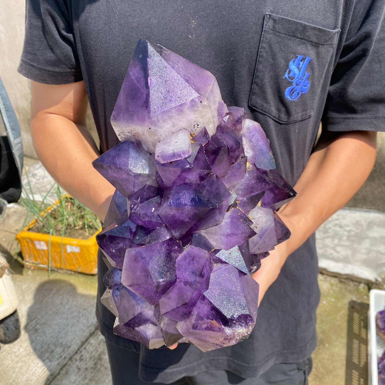14.6lb Natural Amethyst geode quartz cluster crystal specimen Healing
