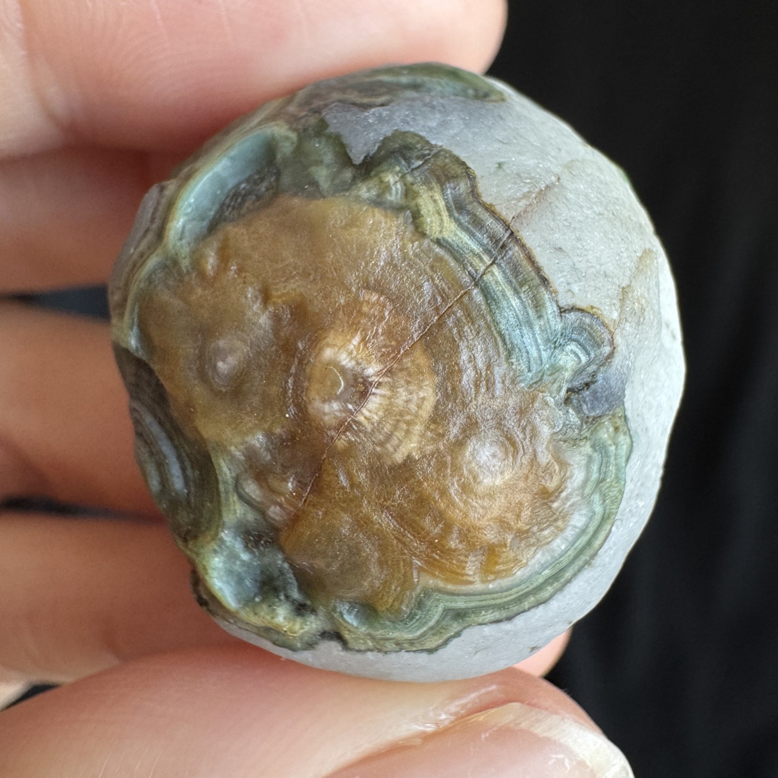 3.1cm/28.2g Natural Big Alxa Gobi Desert Relief Eye Agate,Mongolia-1023