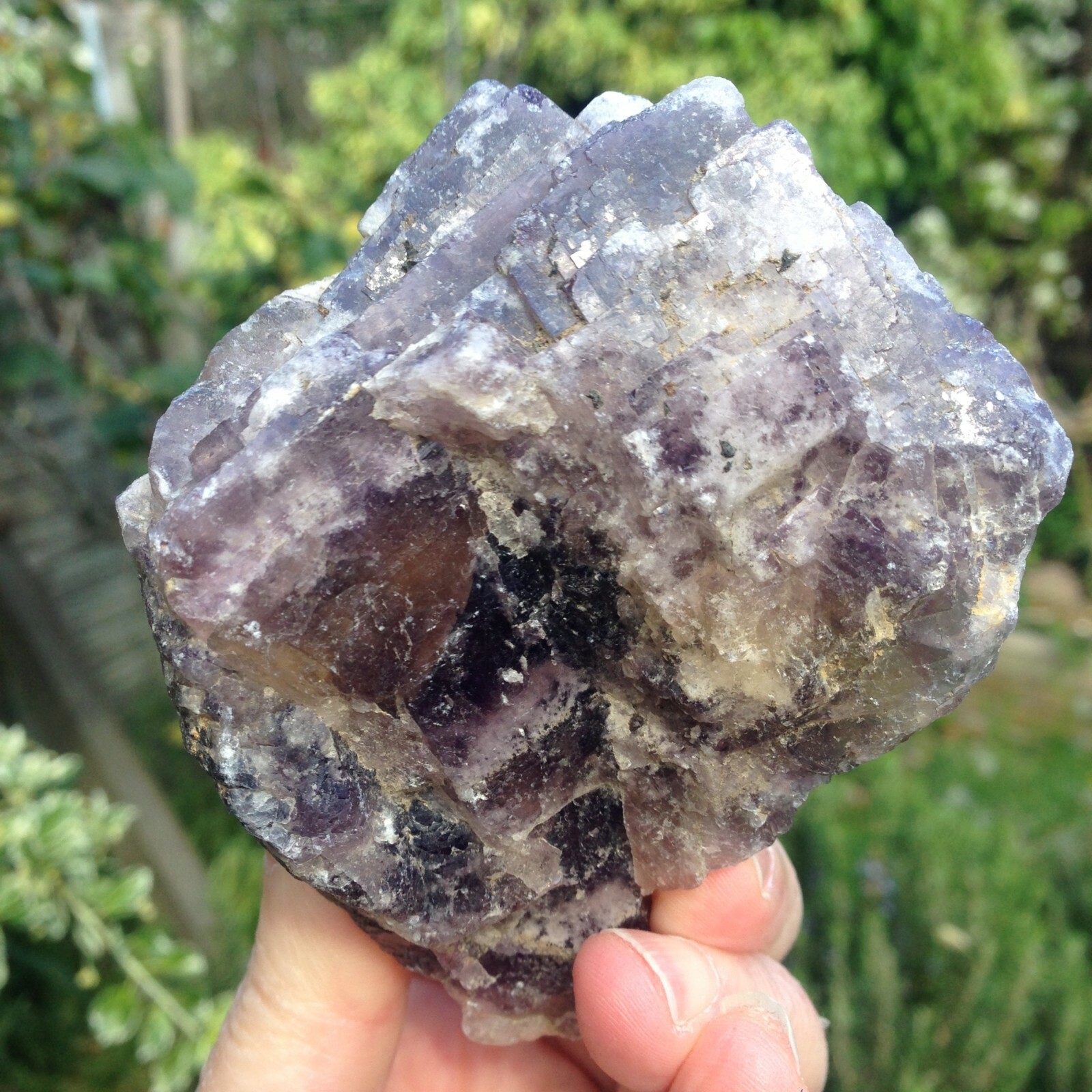Fluorite Crystal Rough Specimen Purple Yellow North UK ex J Shaw 356g 9x7x6cm