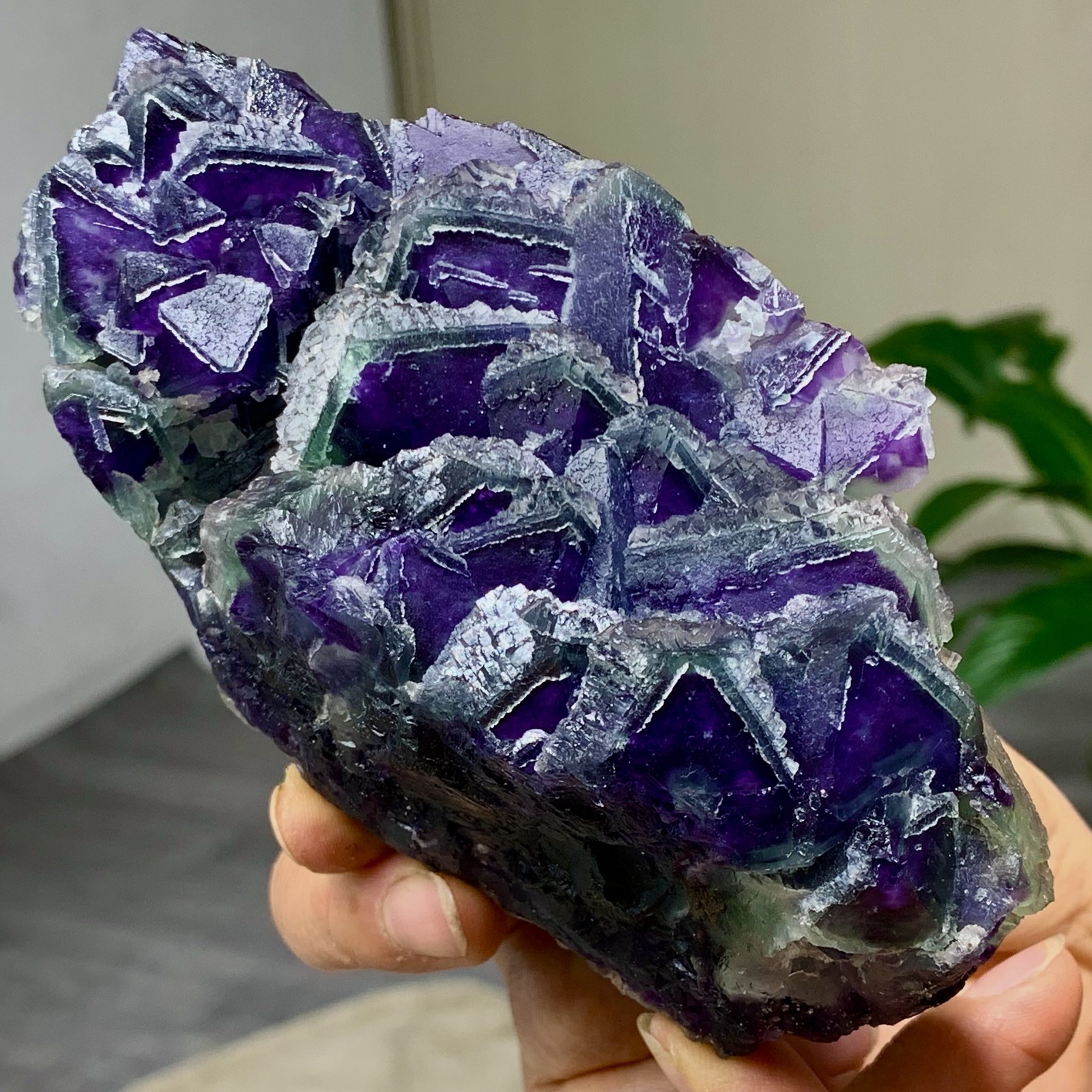 643G Rare transparent purple octahedron fluorite mineral crystal sample/China