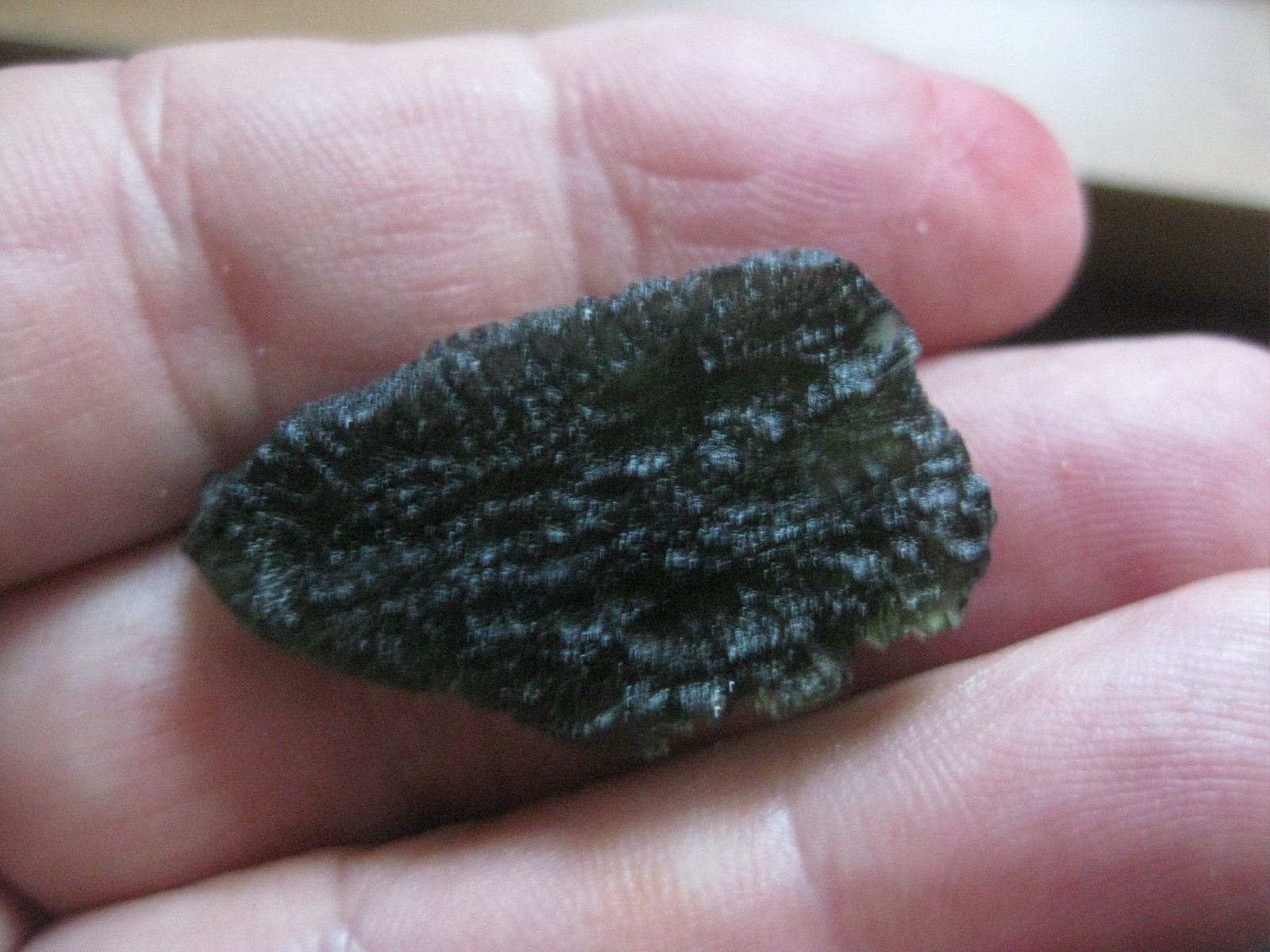 Moldavite 7.7g Nova Hospode, Rieke tektite genuine, Czech Republic impact glass