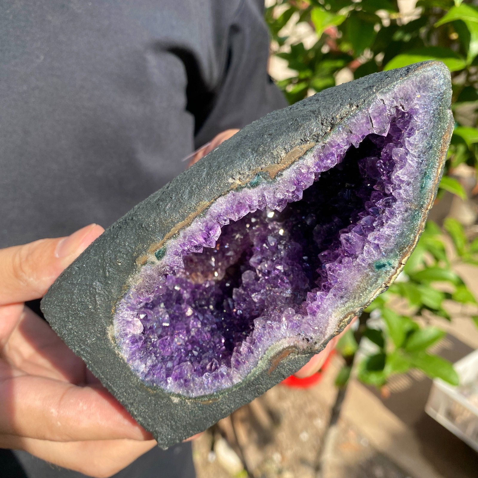 670G Natural Amethyst geode quartz cluster crystal specimen Healing
