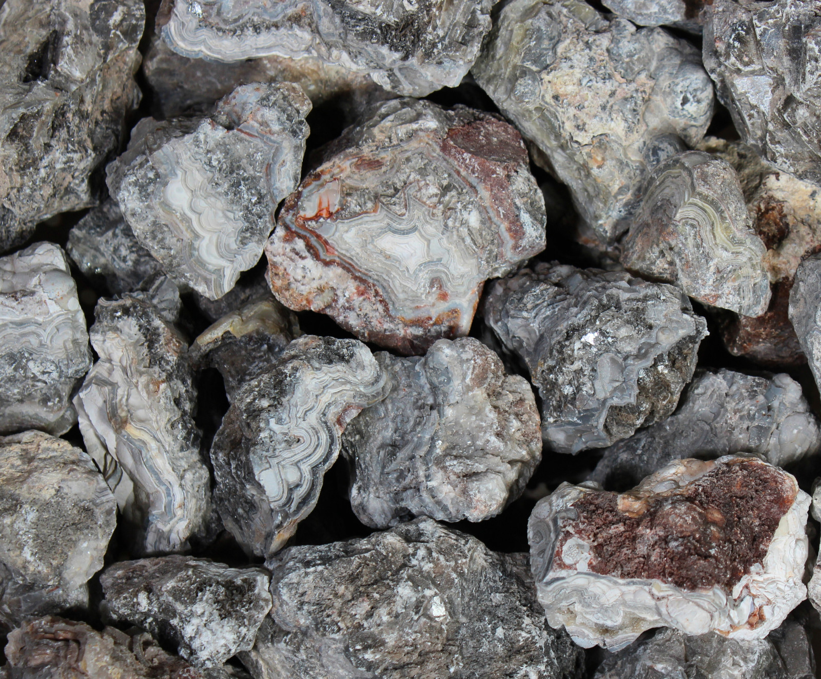 Tuxedo Lace Agate – Rough Rocks for Tumbling – Bulk Wholesale 1LB options