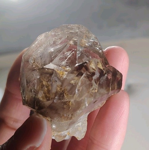 5cm Multi-Enhydro Smoky Citrine 2+Mobile Bubbles Brazilian Skeletal Quartz