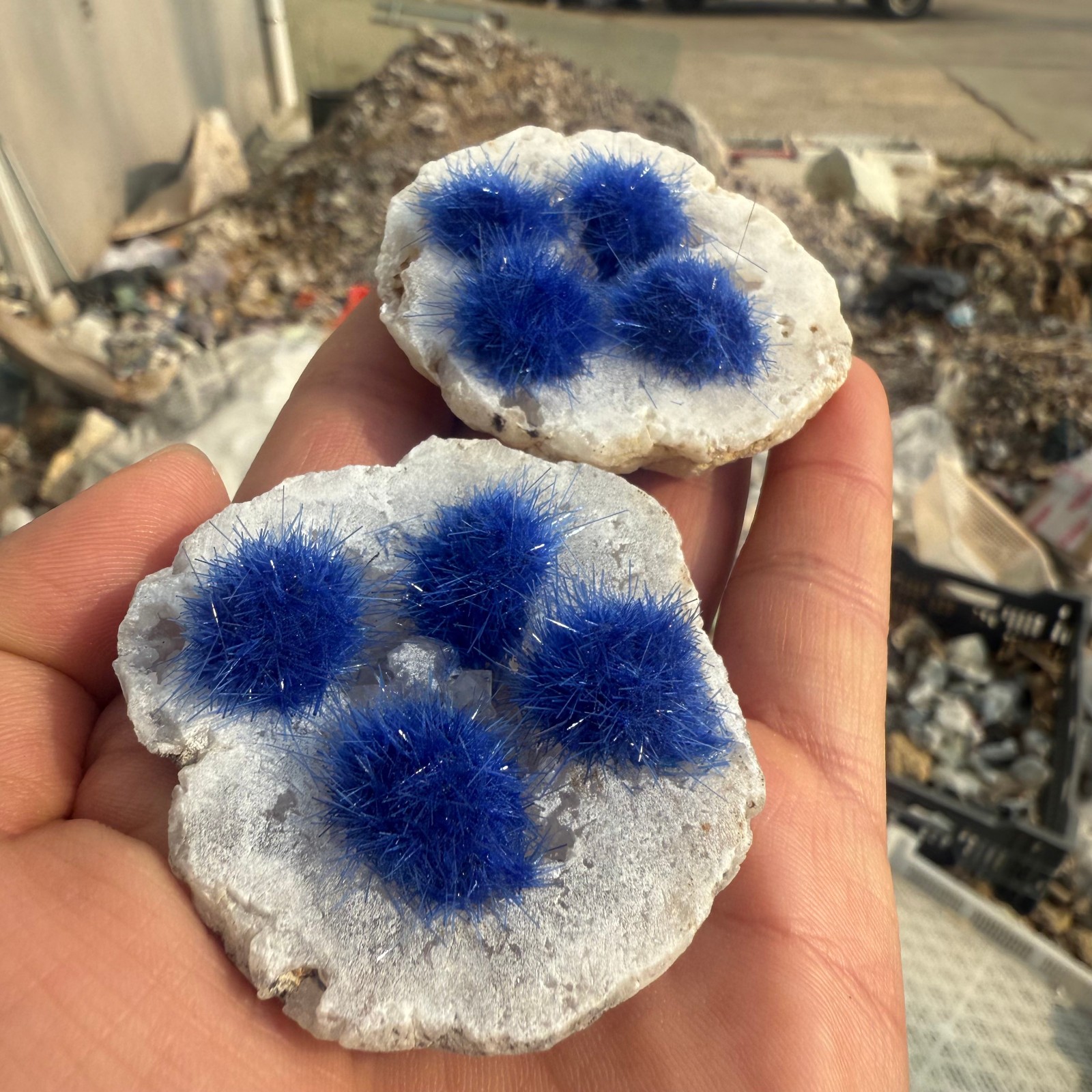 Raw Rough Dandelion Zeolite Cluster Blue Cave Quartz Crystal Decoration 10pc