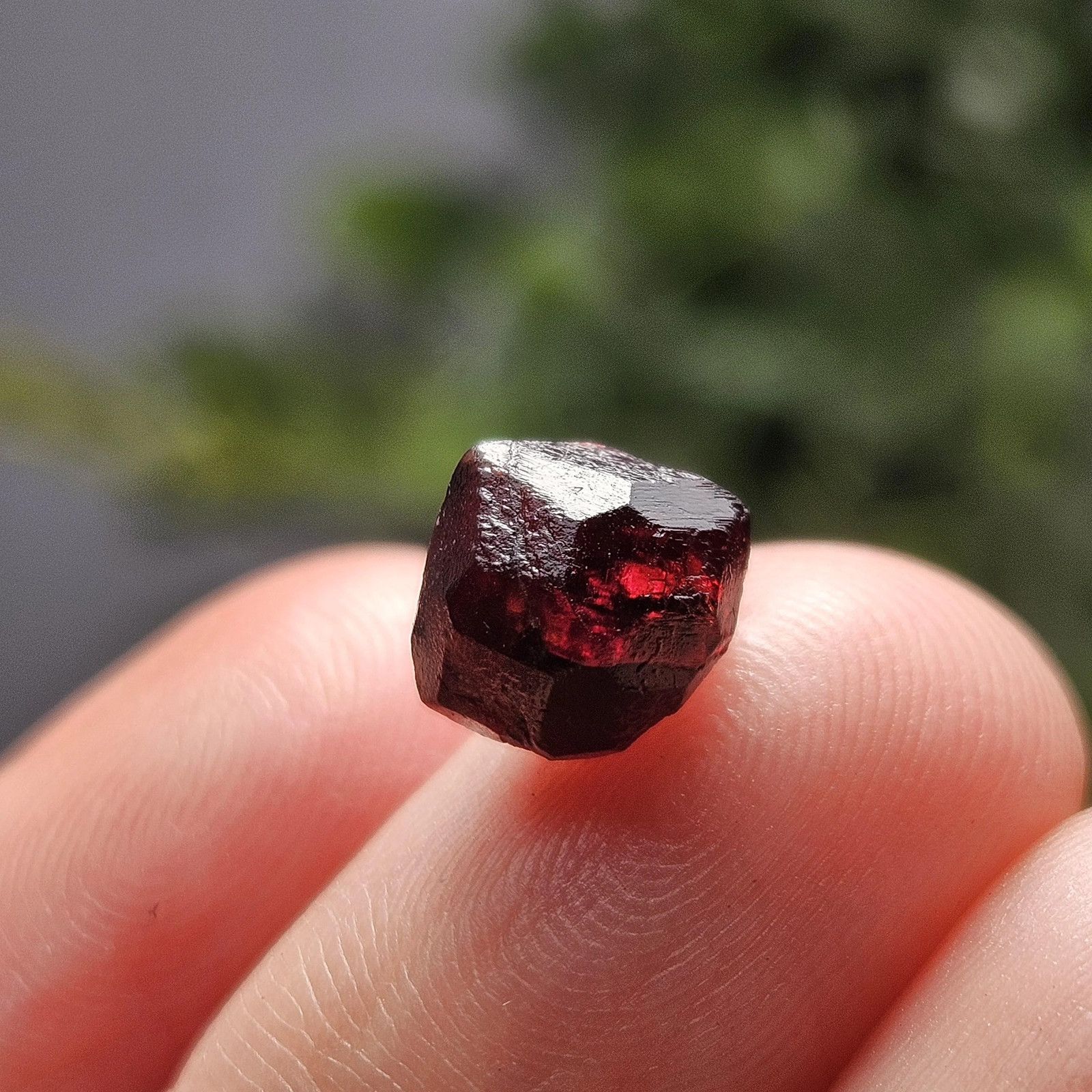 Red Garnet Crystals, Raw Dodecahedron Terminated Stones (5