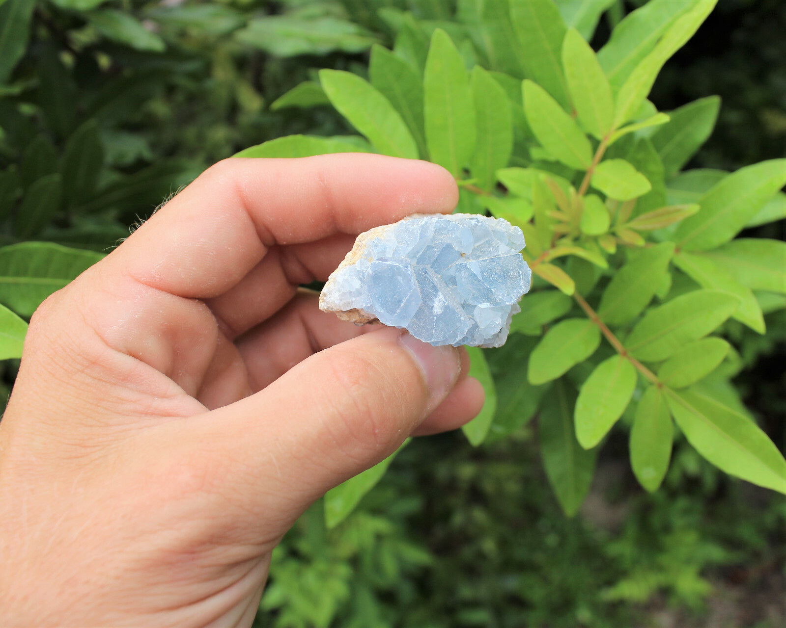 Mini Celestite Crystal Cluster Bulk Wholesale Lots (Sky Blue Celestite Druze)