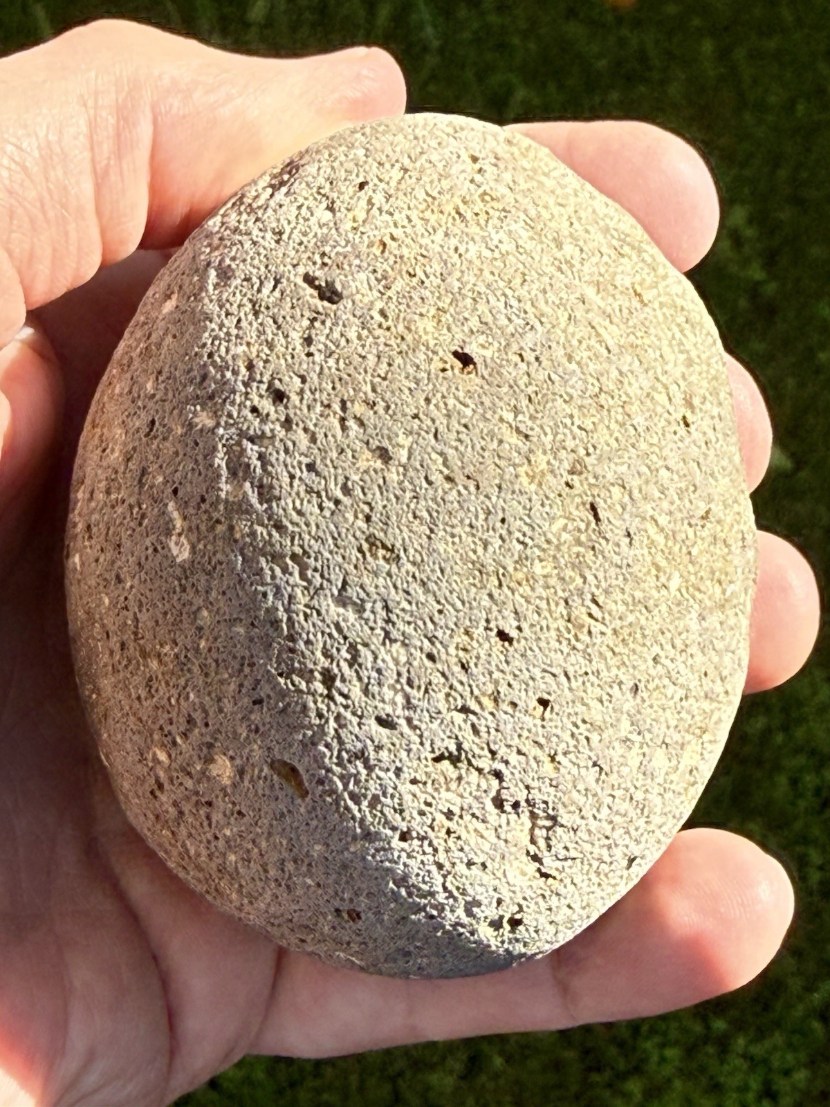 NATURAL SPHERICAL RHYOLITE OR SANDSTONE? CONGLOMERATE ROUND SPHERE STONE ROCK CA