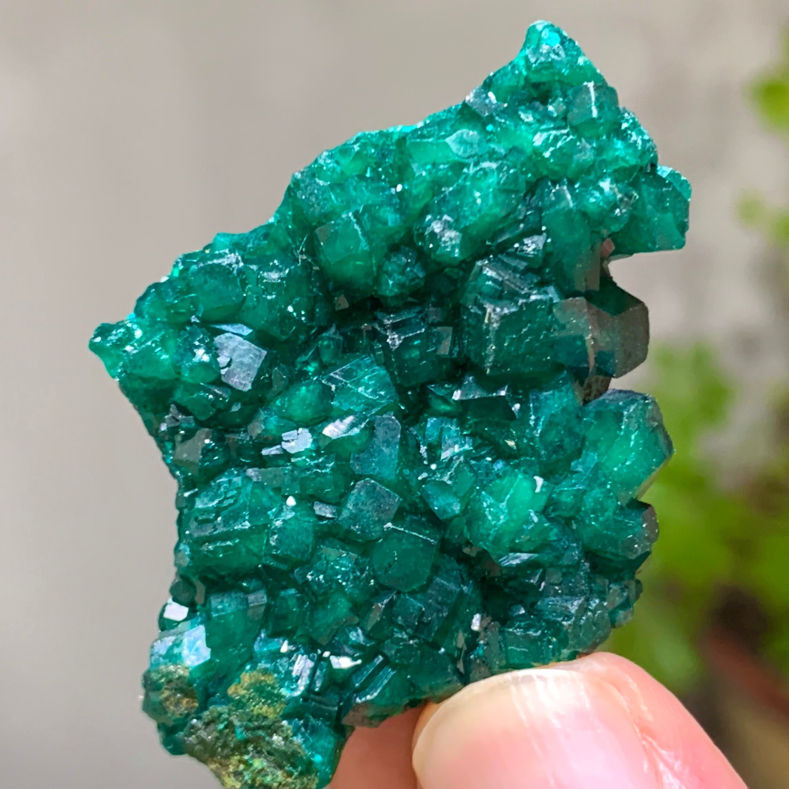 15G Natural green dioptase emerandine gemstone cluster mineral specimen