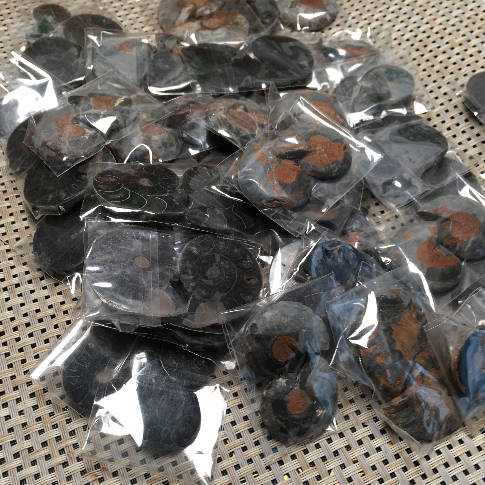 20 Pairs Black Ammonite Shell Specimen Madagascar