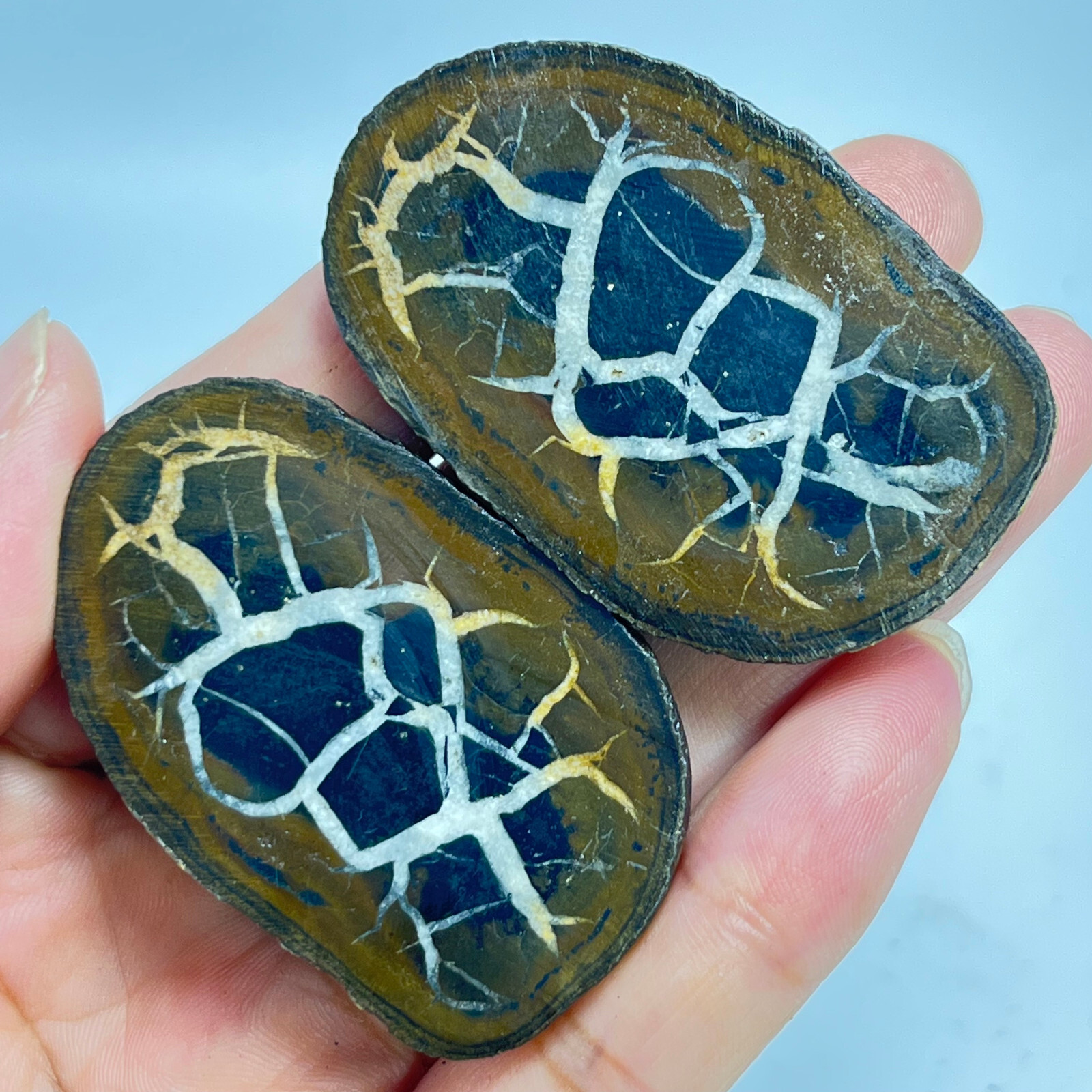 62G Natural Crystal Moroccan Turtle Back Stone Cutting Quartz Energy Spirit