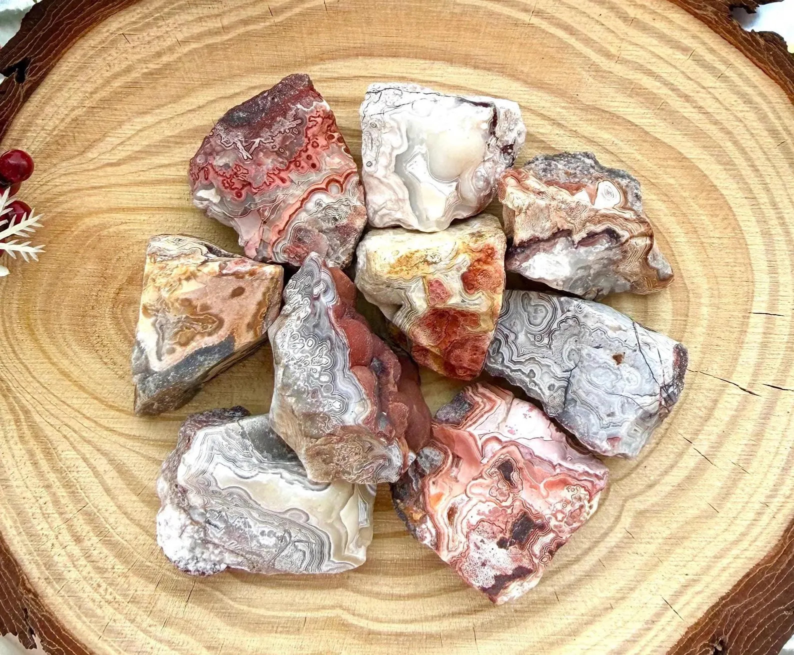 3PCS Raw Crazy Lace Agate |Balance Grounding Crystal Healing Specimen Home Decor