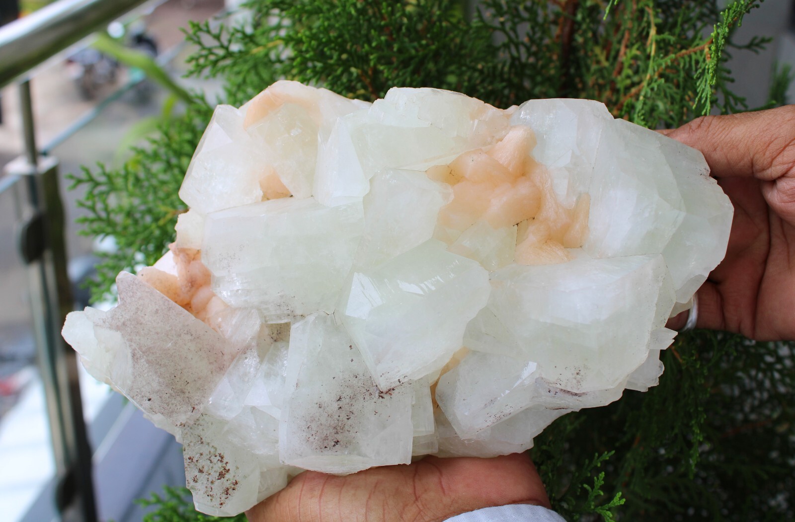 Green Apophyllite Crystals With Stilbite On Matrix Minerals Specimen