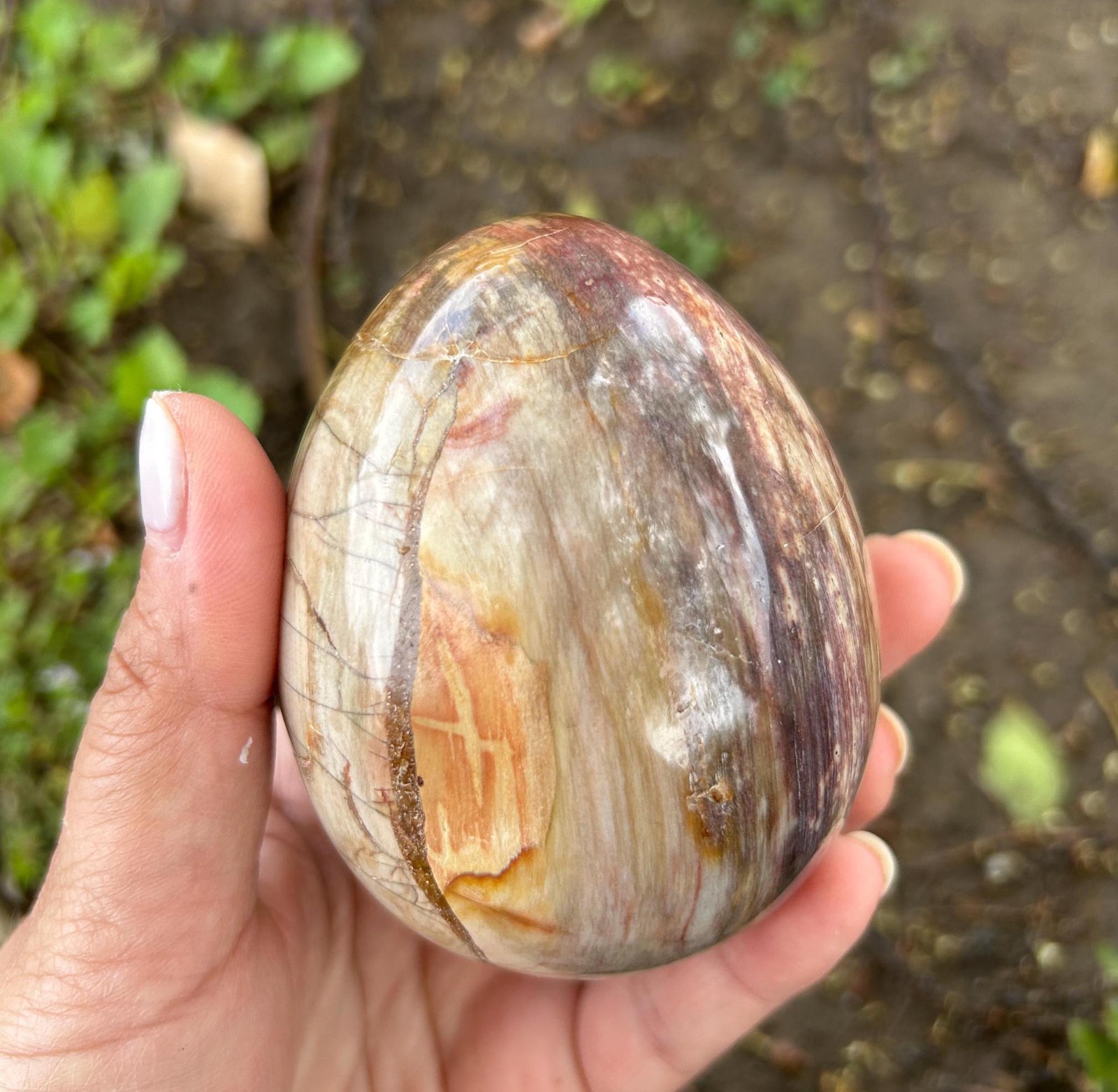 1.9″0.3lb Cute Natural Crystal Wood Fossil Egg Polished Quartz Home Office Decor