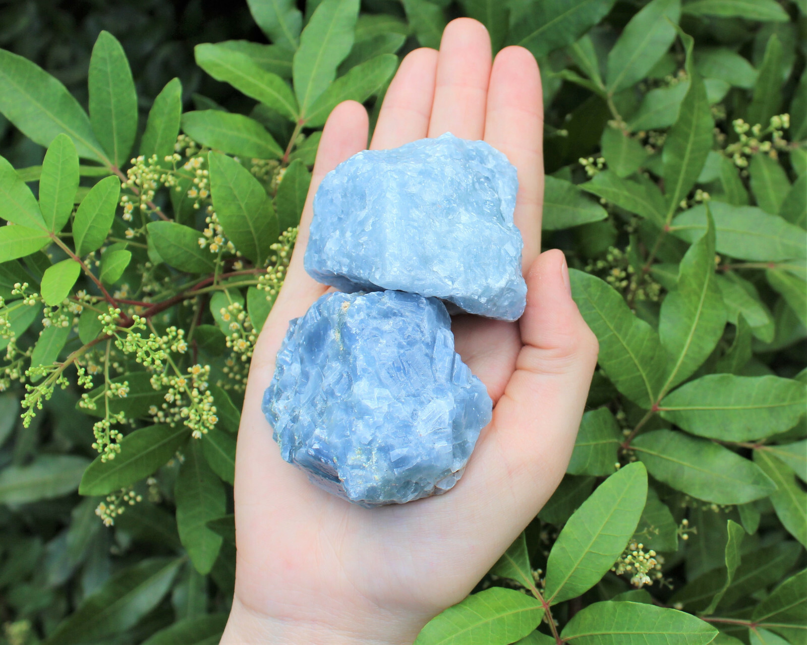 LARGE Rough Blue Calcite Natural Chunk, 2″ – 3″ (Raw Calcite, Crystal Healing)