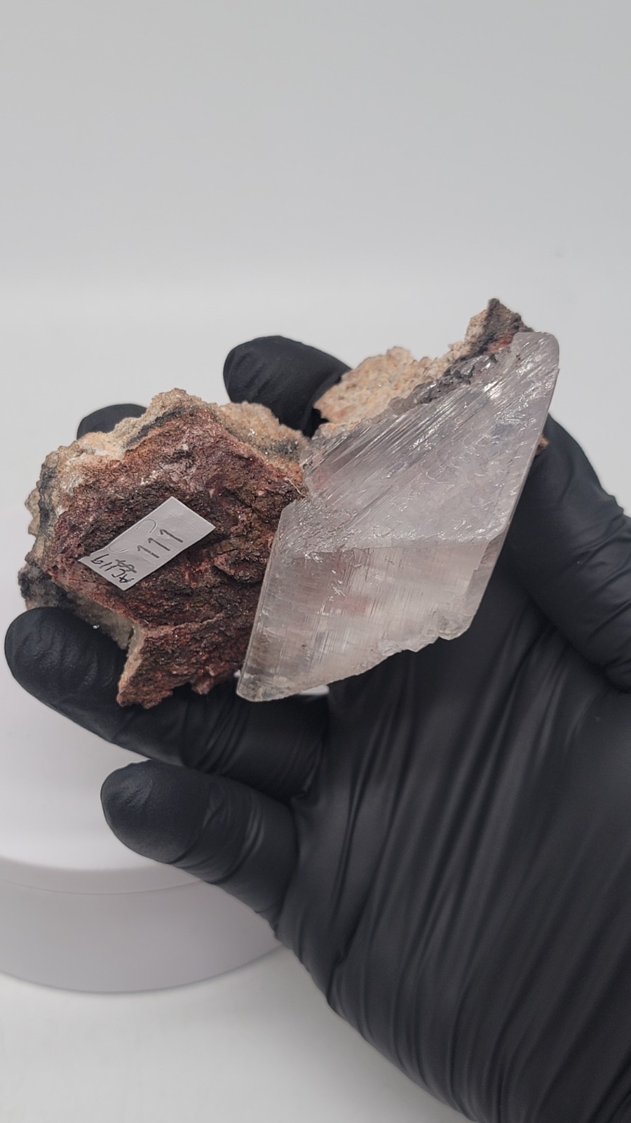 Excellent Selenite In Matrix Crystal from Naica Mine, Chihuahua Mexico 226 Grams