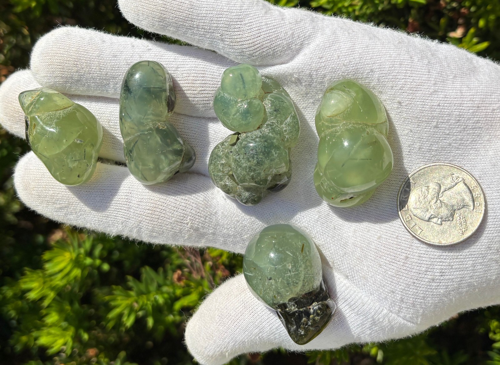 USA SALE 120g LOT 5 PREHNITE & EPIDOTE BOTRYOIDAL TUMBLES TUMBLE STONE STONES