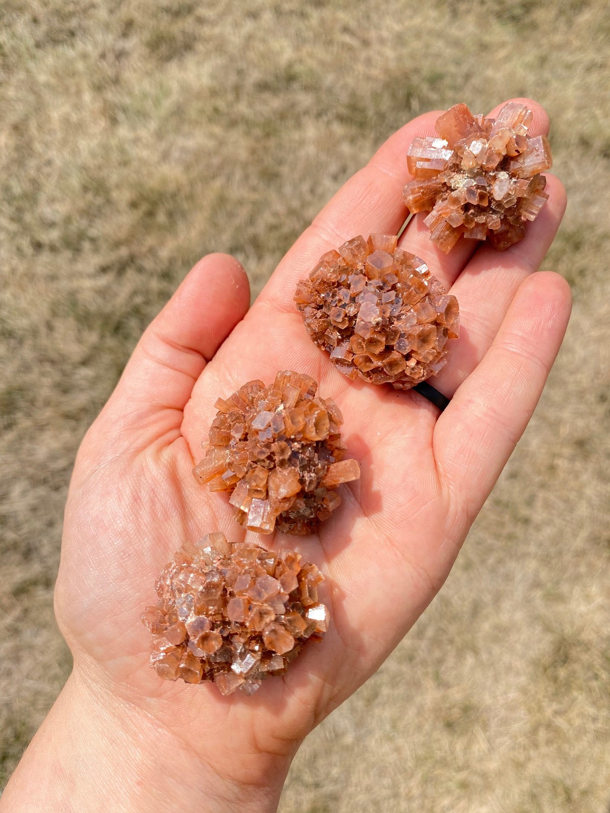 Raw Aragonite Star Cluster (0.5″ – 6″) Natural Red Aragonite Cluster Morocco