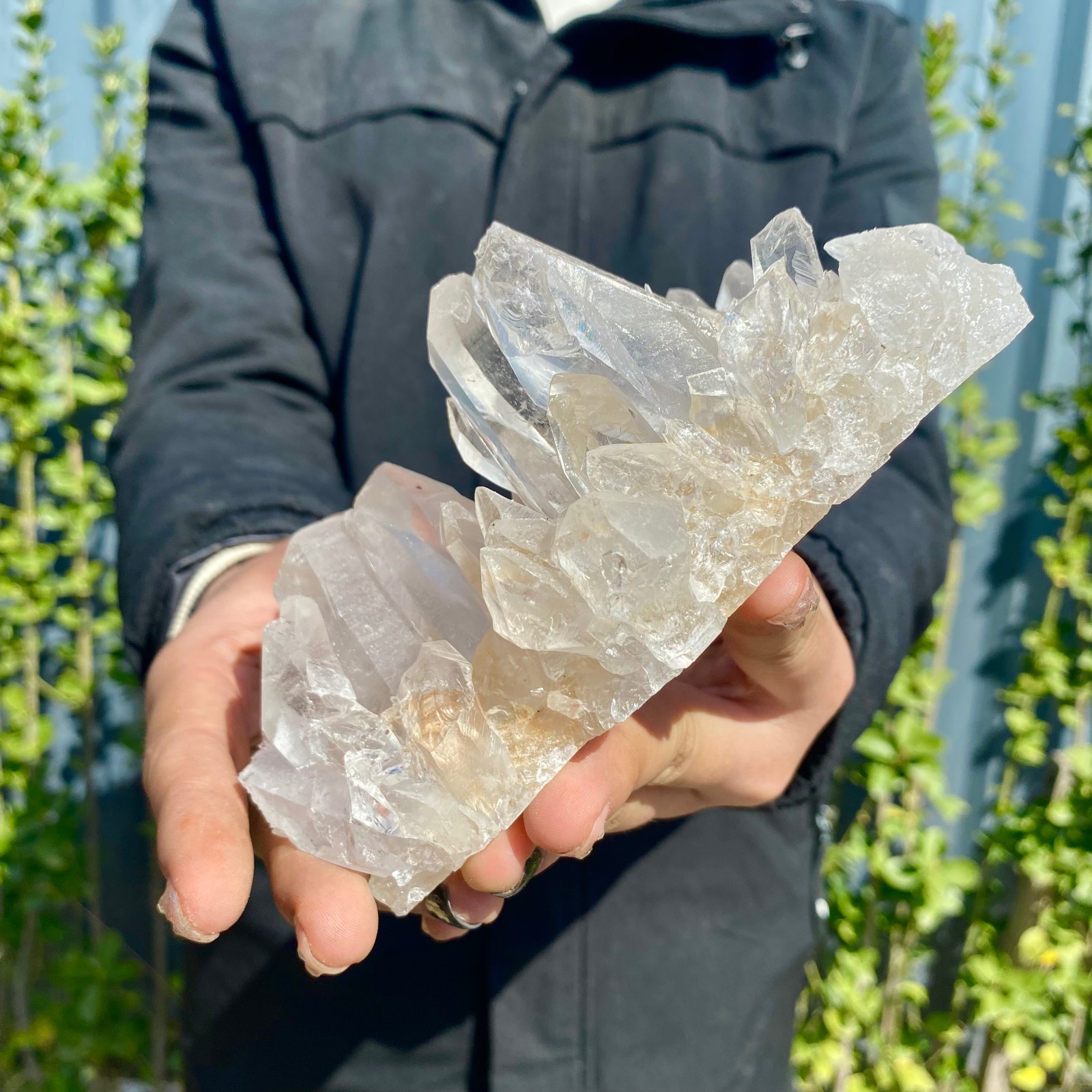 1.21LB Large Natural Clear White Crystal Quartz Cluster Energy Healing Specimen