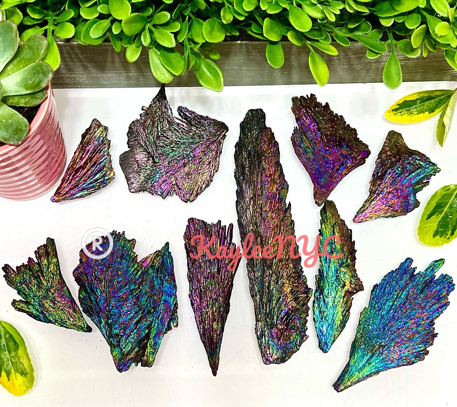 Wholesale Lot 1 Lb Titanium Black Kyanite Raw Crystal Healing Energy