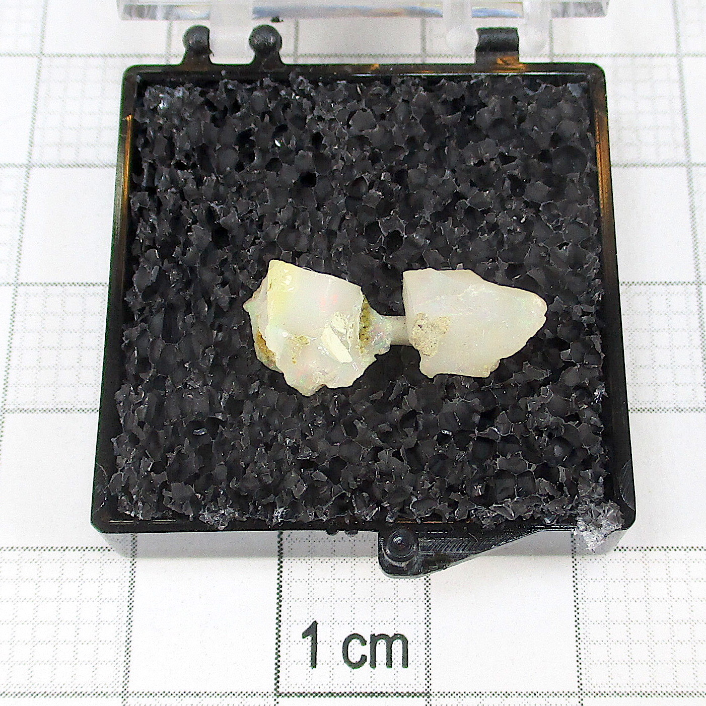 03411 TN Precious Opal Ethiopia 21874