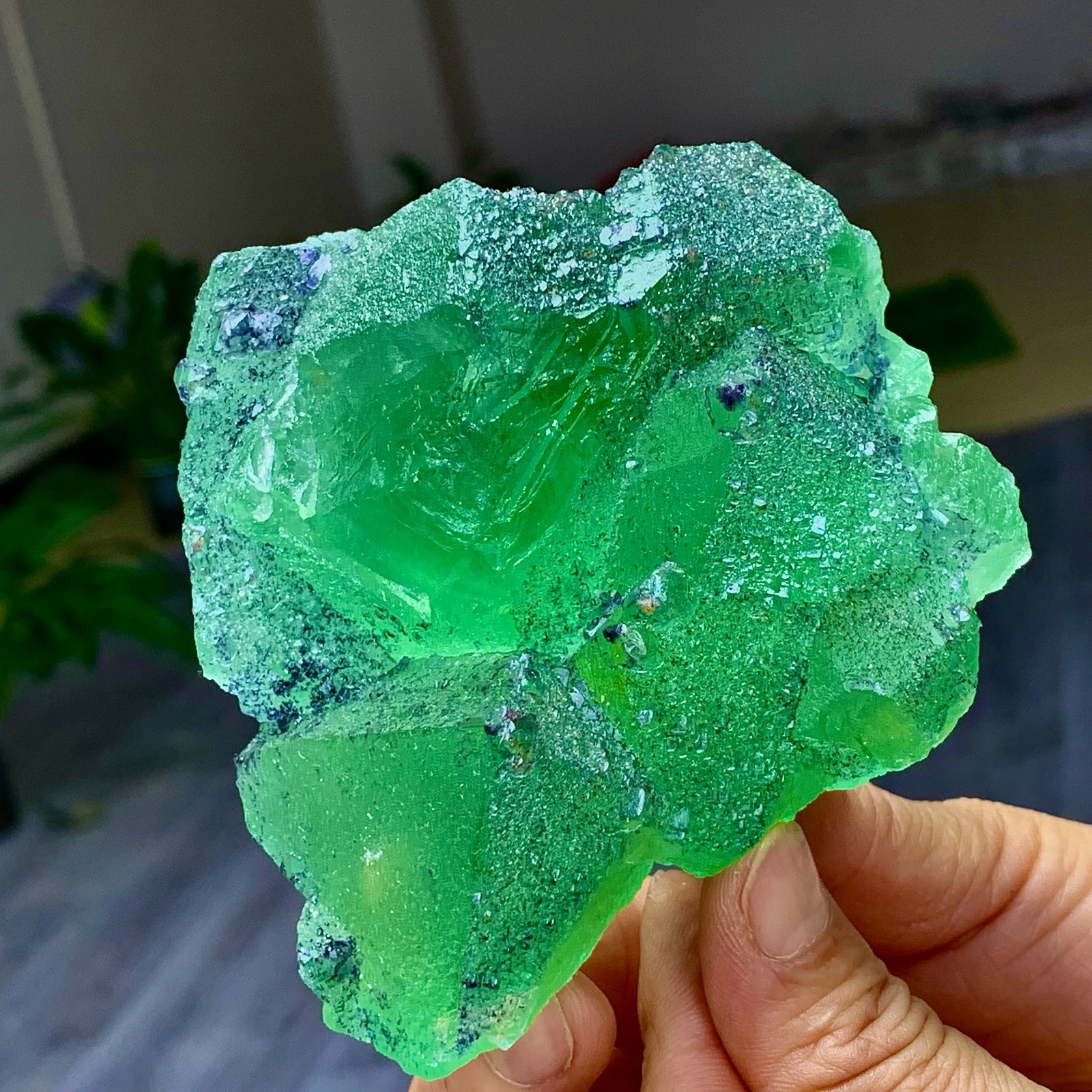 1.24LB Rare transparent green cubic Zhejiang fluorite mineral sample
