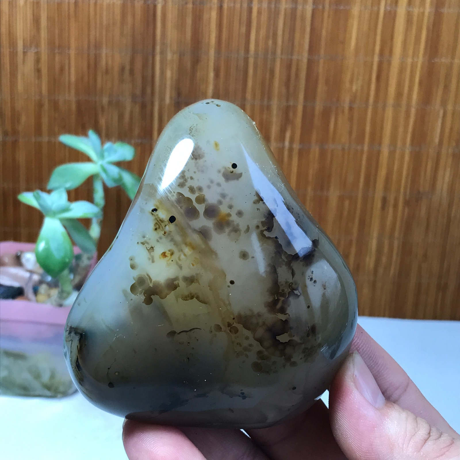 86-75-34mm Natural aquatic plants agate pretty Crystal specimens 300g A1638