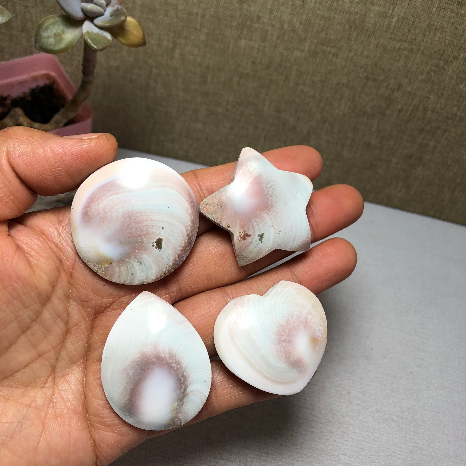 4pcs Rare sun shell Reiki Shiva Eye ocean semi-precious stone 74g A2754