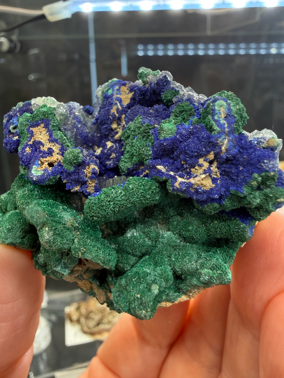 Azurite, Malachite ps Selenite, Calcite- Apex Mine, Washington County, Utah, USA